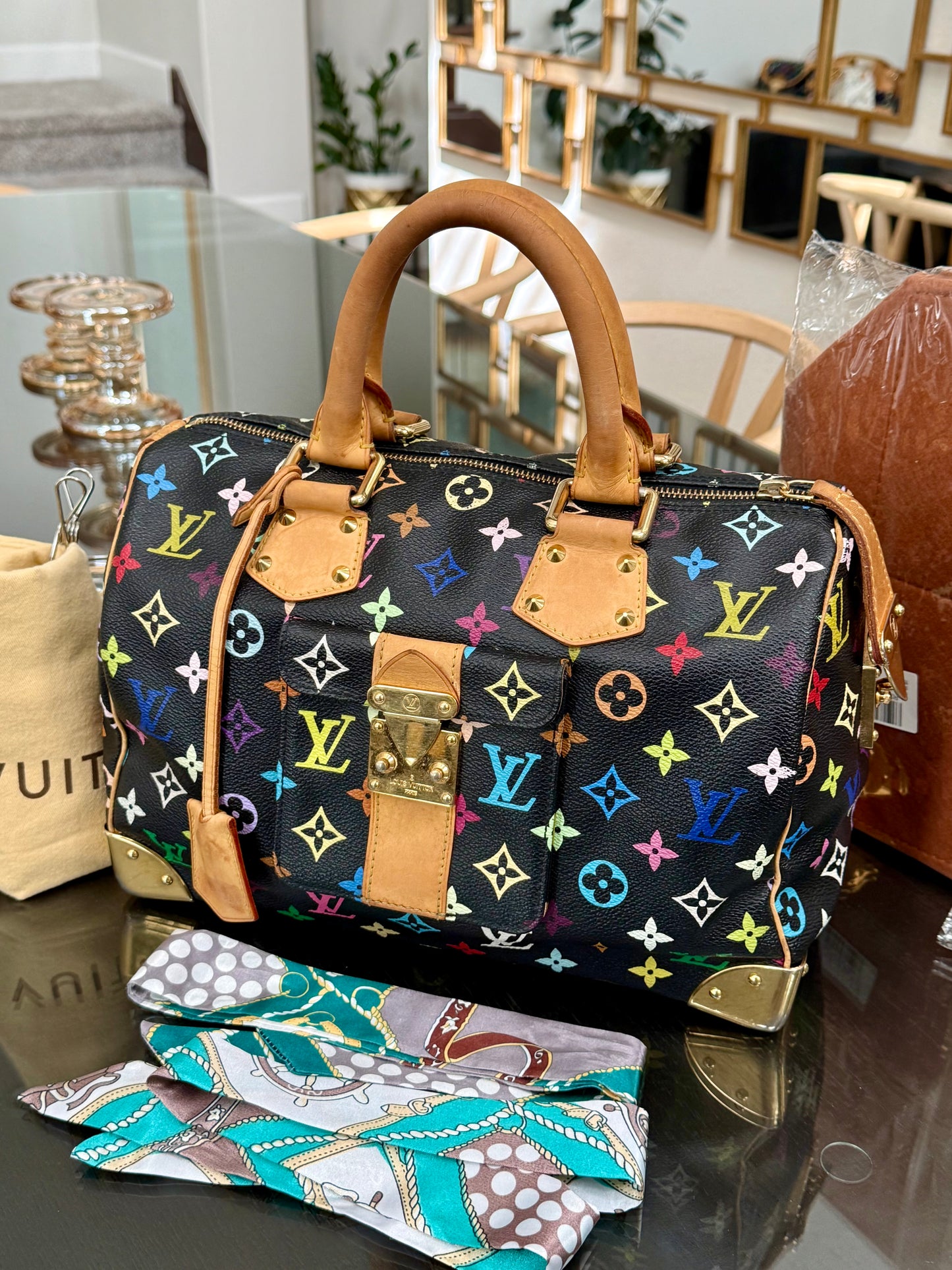 Multicolor Speedy 30 with Dustbag, Insert Organizer and twilly set 📅 Year: 2008