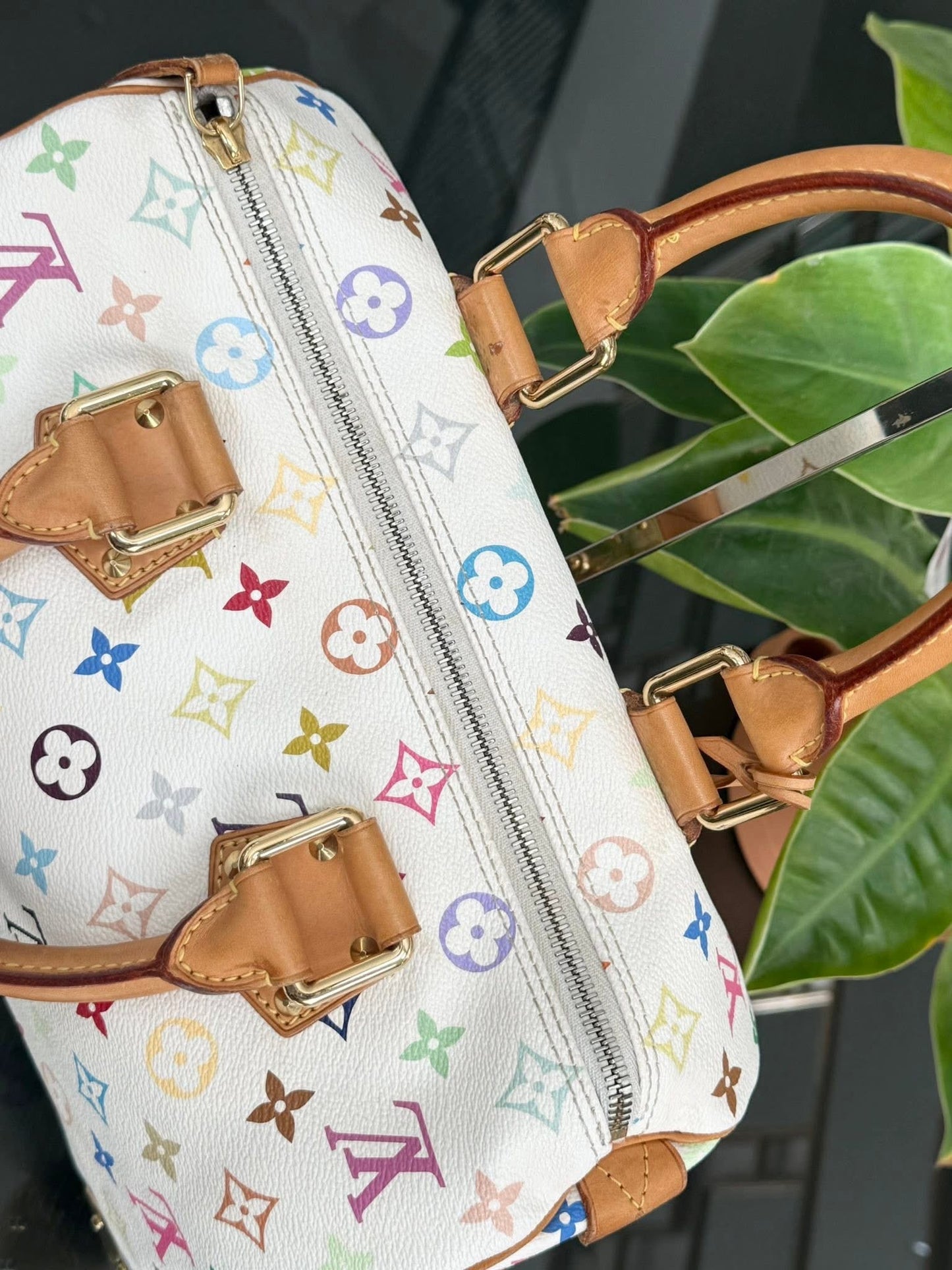 Multicolor Speedy 30 with Dustbag, twilly set and Insert Organizer 📅 Year: 2007