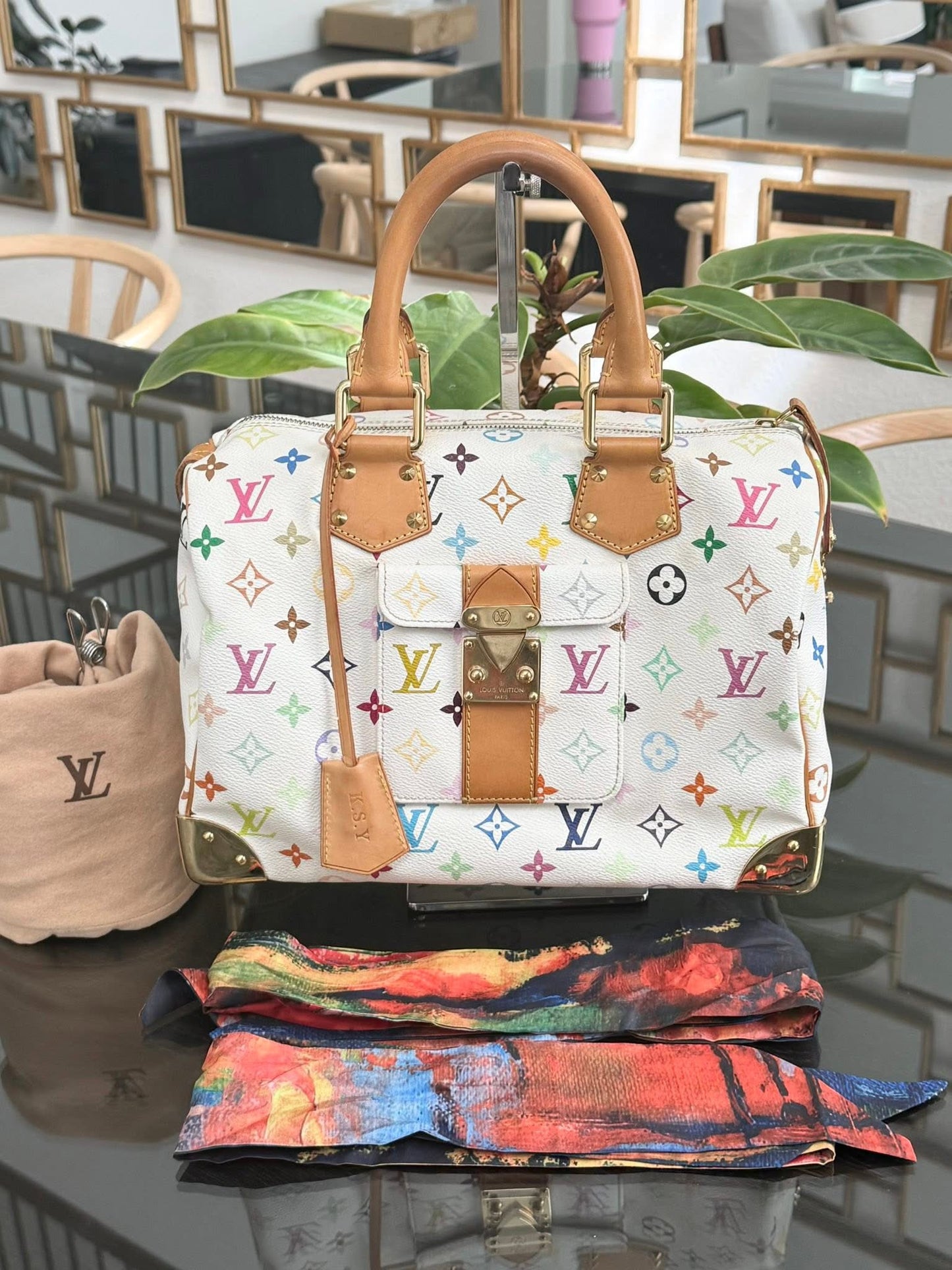 Multicolor Speedy 30 with Dustbag, twilly set and Insert Organizer 📅 Year: 2007