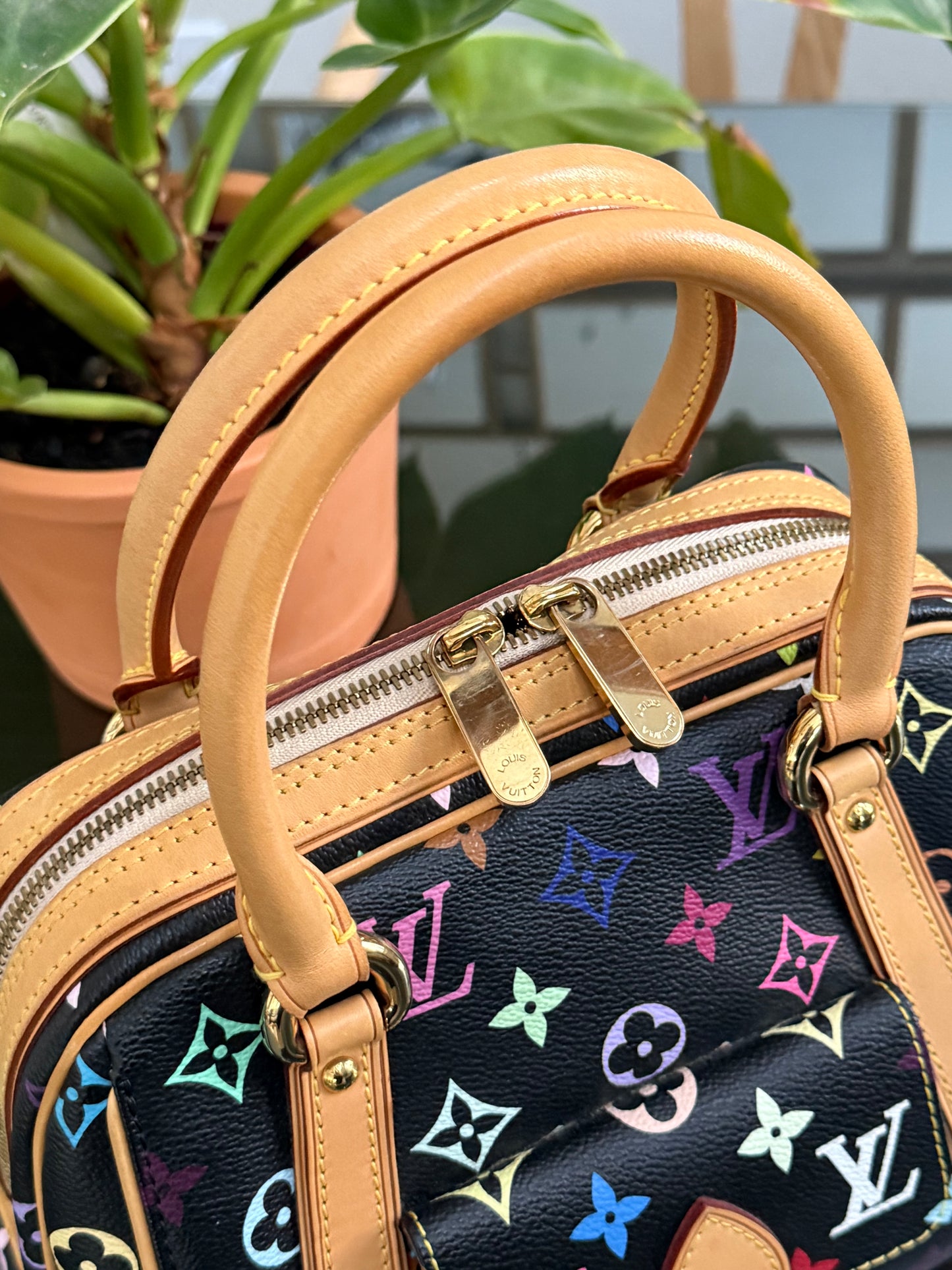 Multicolor Priscilla with Dustbag🌺📅 Year: 2008