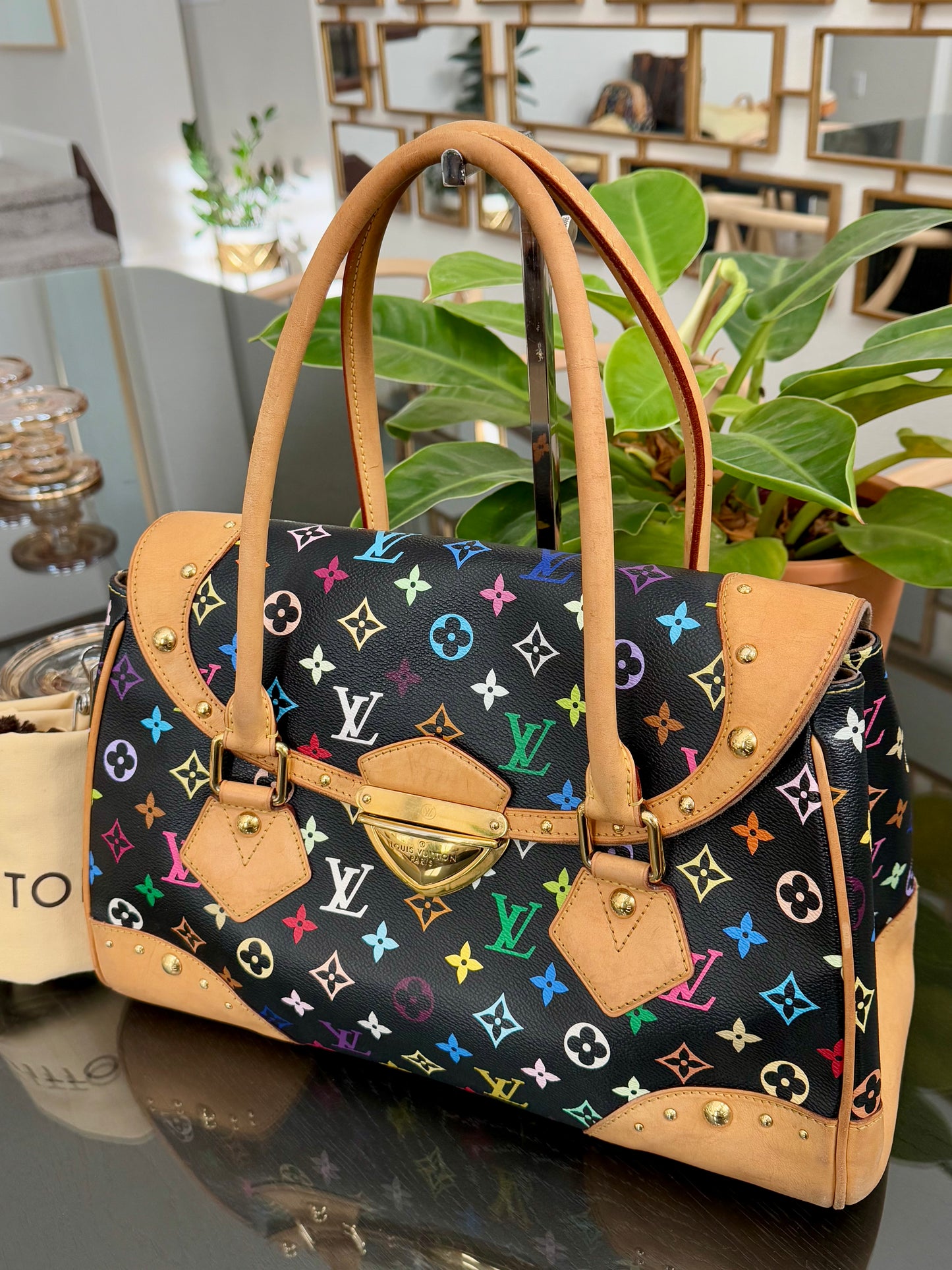 Multicolor Beverly GM with Dustbag 📅 Year: 2000