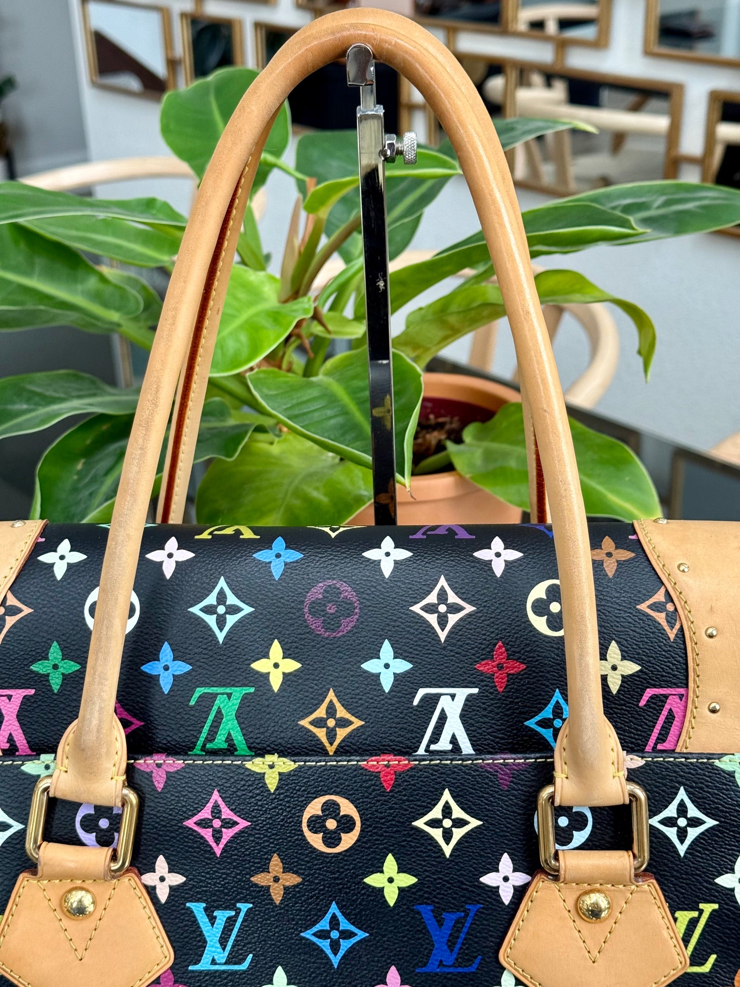 Multicolor Beverly GM with Dustbag 📅 Year: 2008