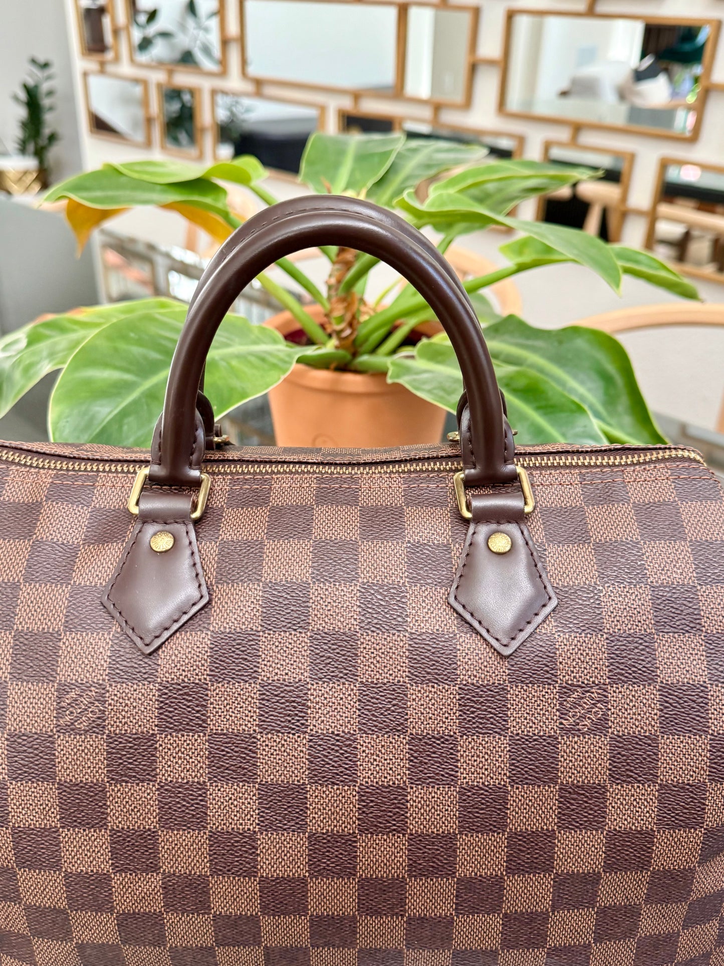 Speedy 30 in DE with 🔐 lock, Key and Dustbag -🗓️ Year: 2017