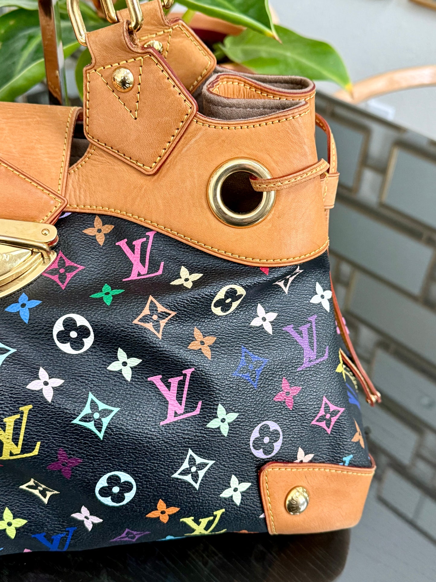 Multicolor in Black Ursula with Dustbag