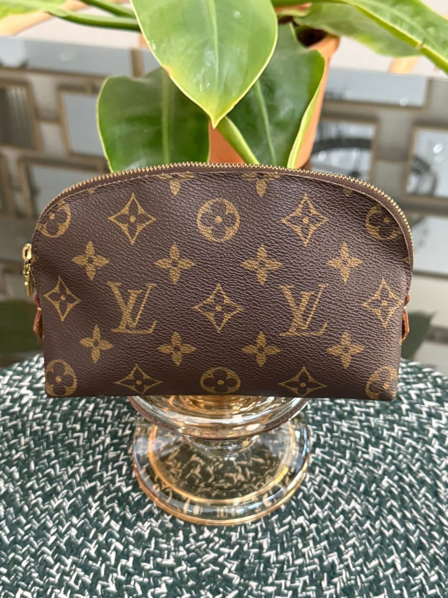 Cosmetic Pouch PM in Monogram 🗓️