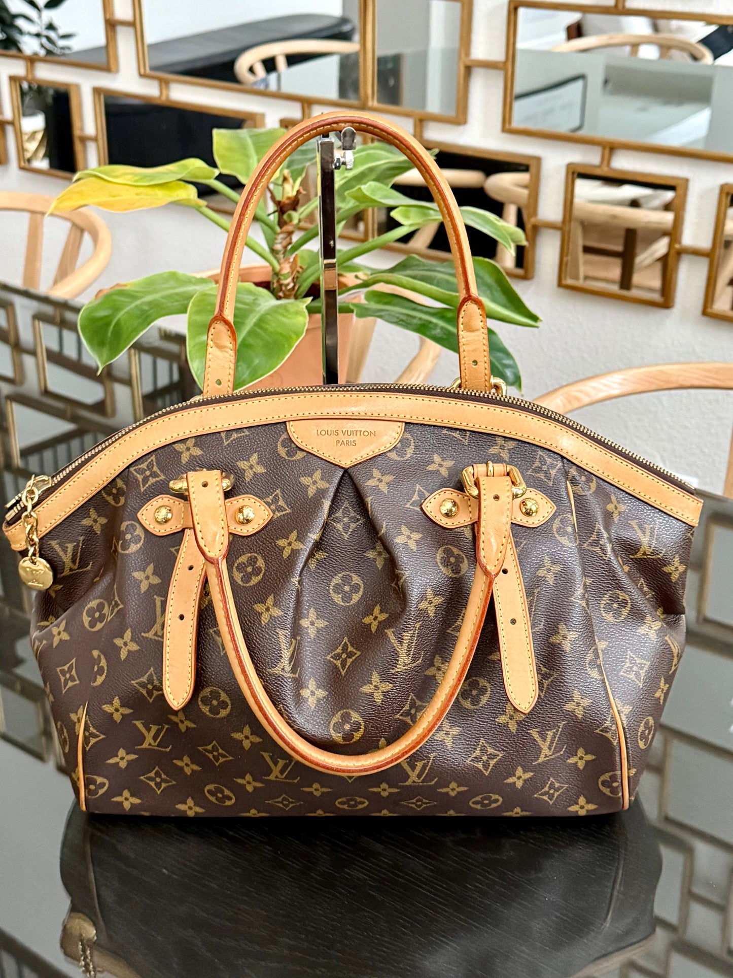 Tivoli GM with Dustbag and Insert Organizer 🗓️ Year: 2011