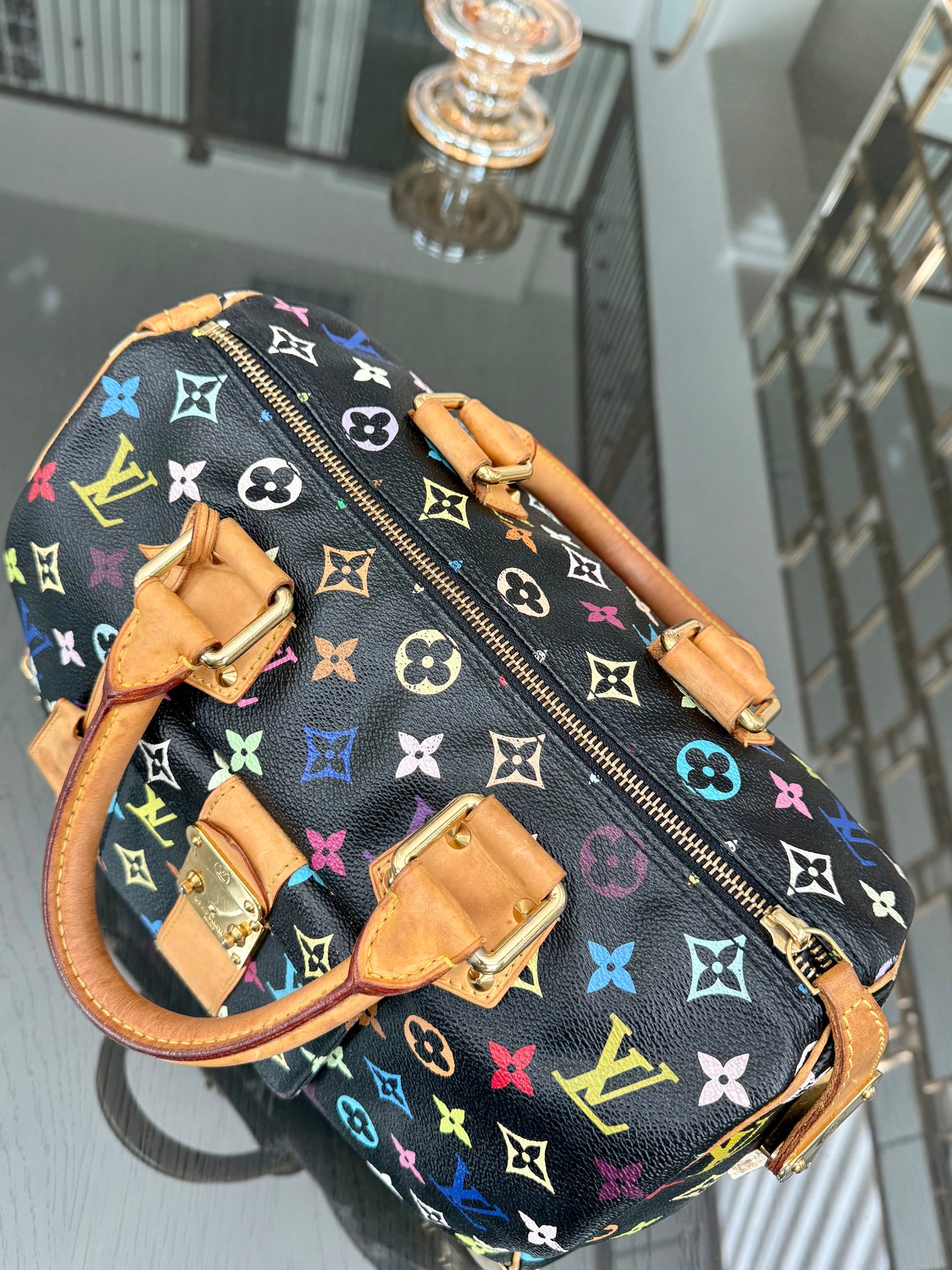 Multicolor Speedy 30 with Dustbag, Insert Organizer and twilly set 📅 Year: 2008