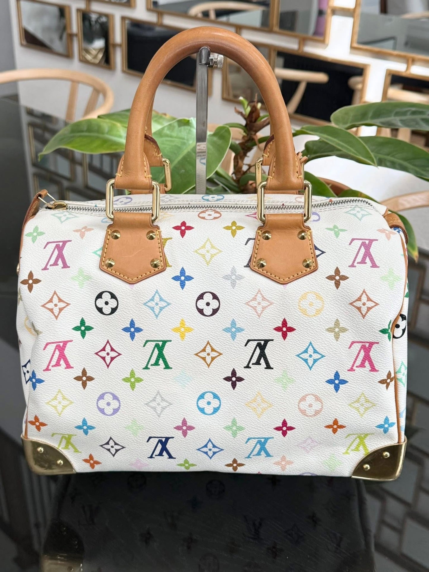 Multicolor Speedy 30 with Dustbag, twilly set and Insert Organizer 📅 Year: 2007