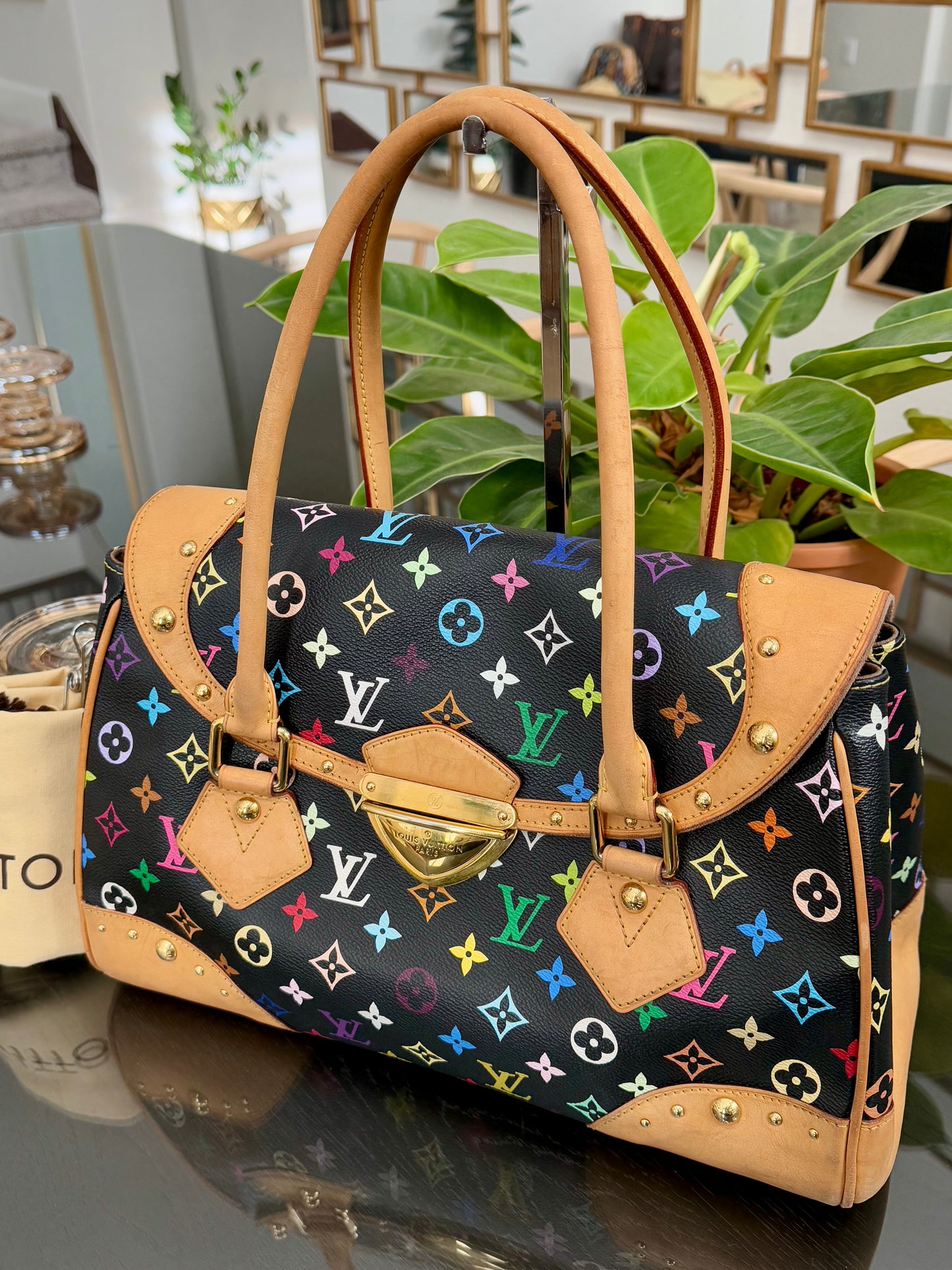 Multicolor Beverly GM with Dustbag 📅 Year: 2000
