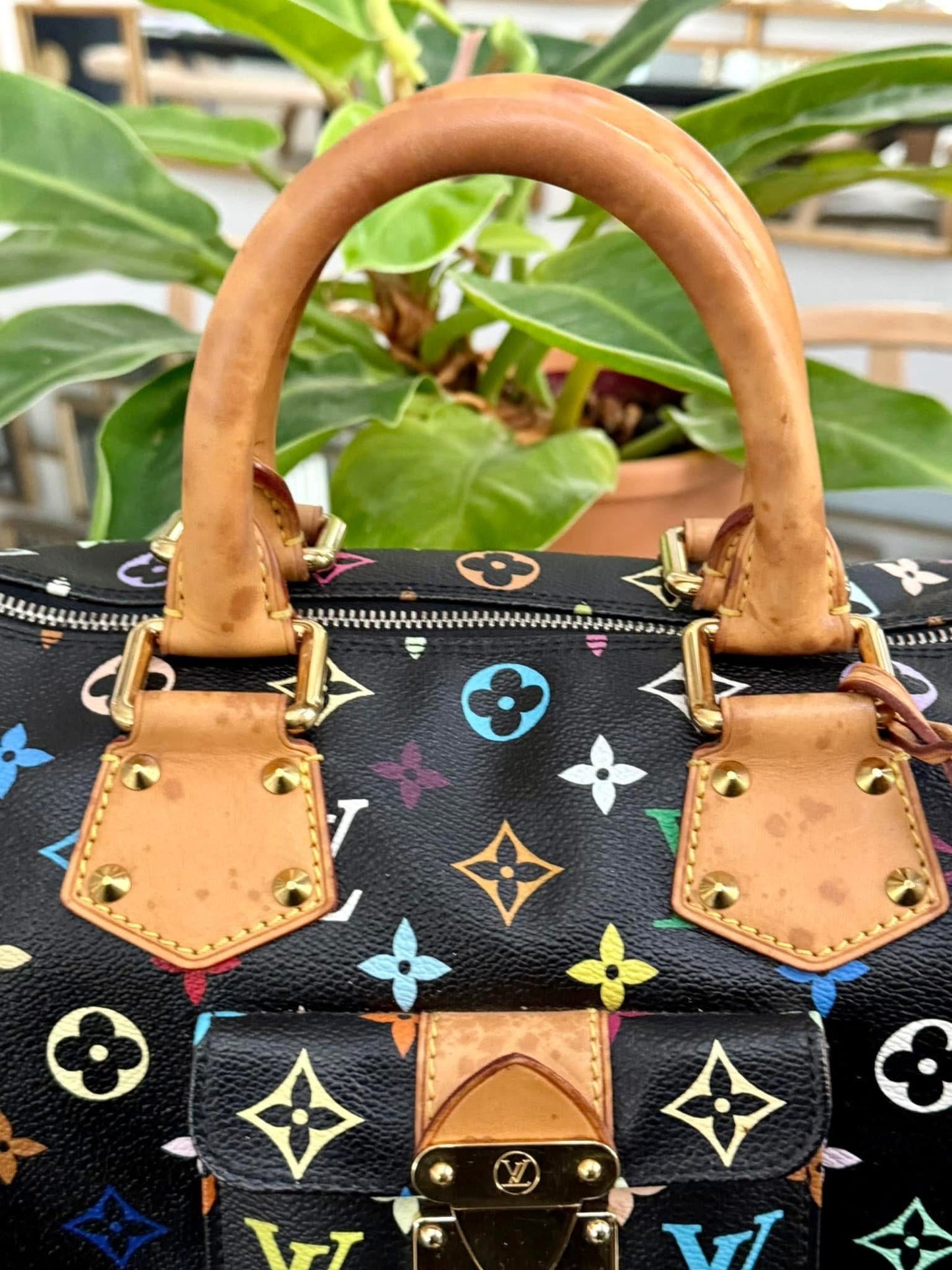 Multicolor Speedy 30 with Dustbag and generic twilly set 📅 Year: 2008