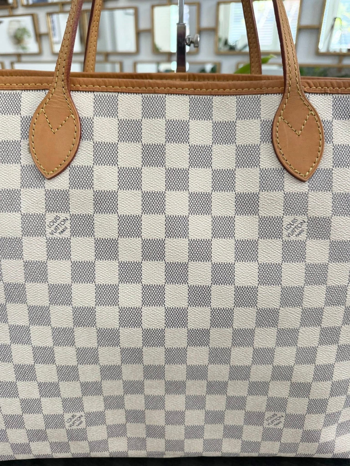 Neverfull GM in Azur with Dustbag Insert Organizer 🗓️ Year: 2012
