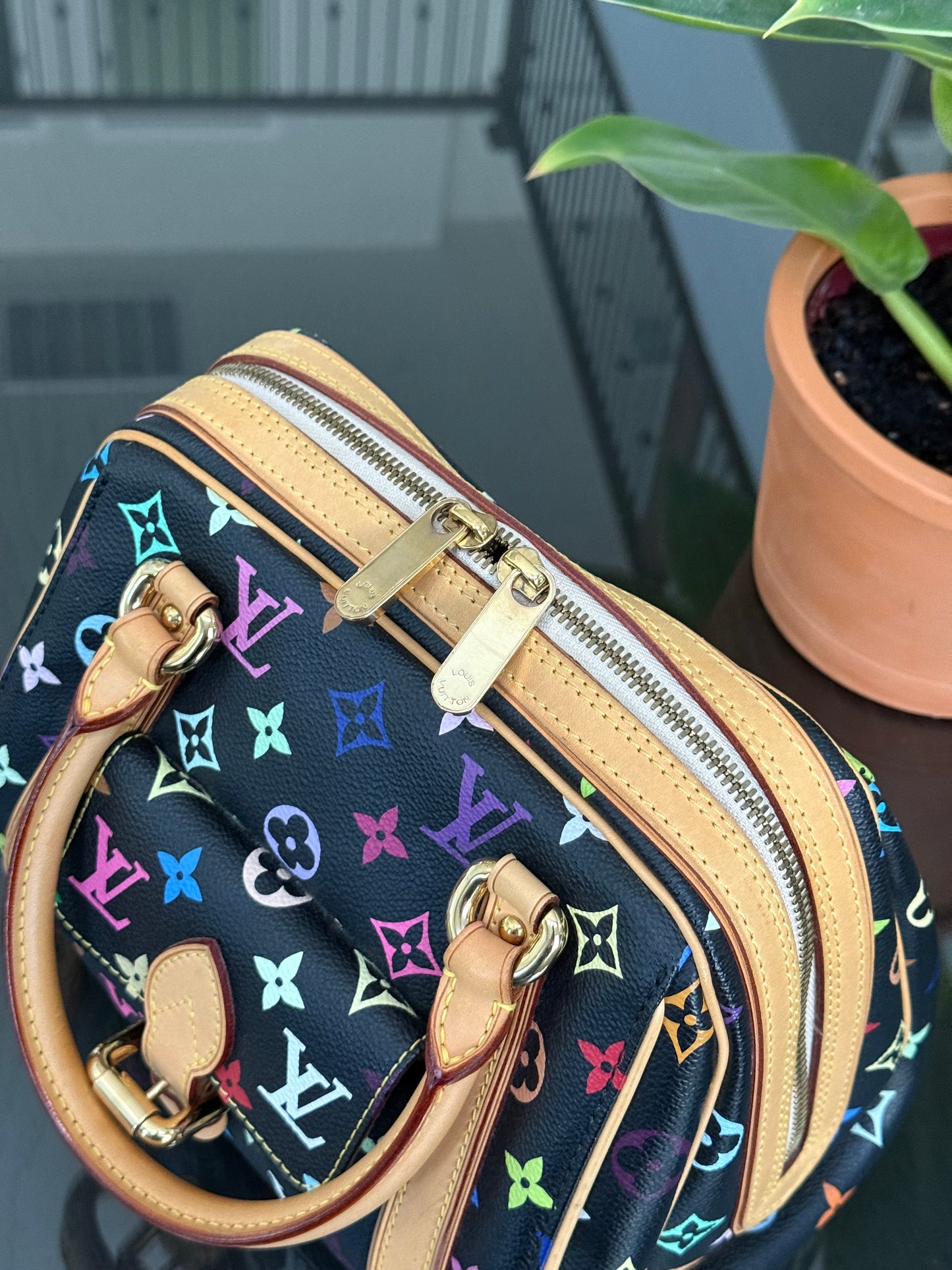 Multicolor Priscilla with Dustbag🌺📅 Year: 2008