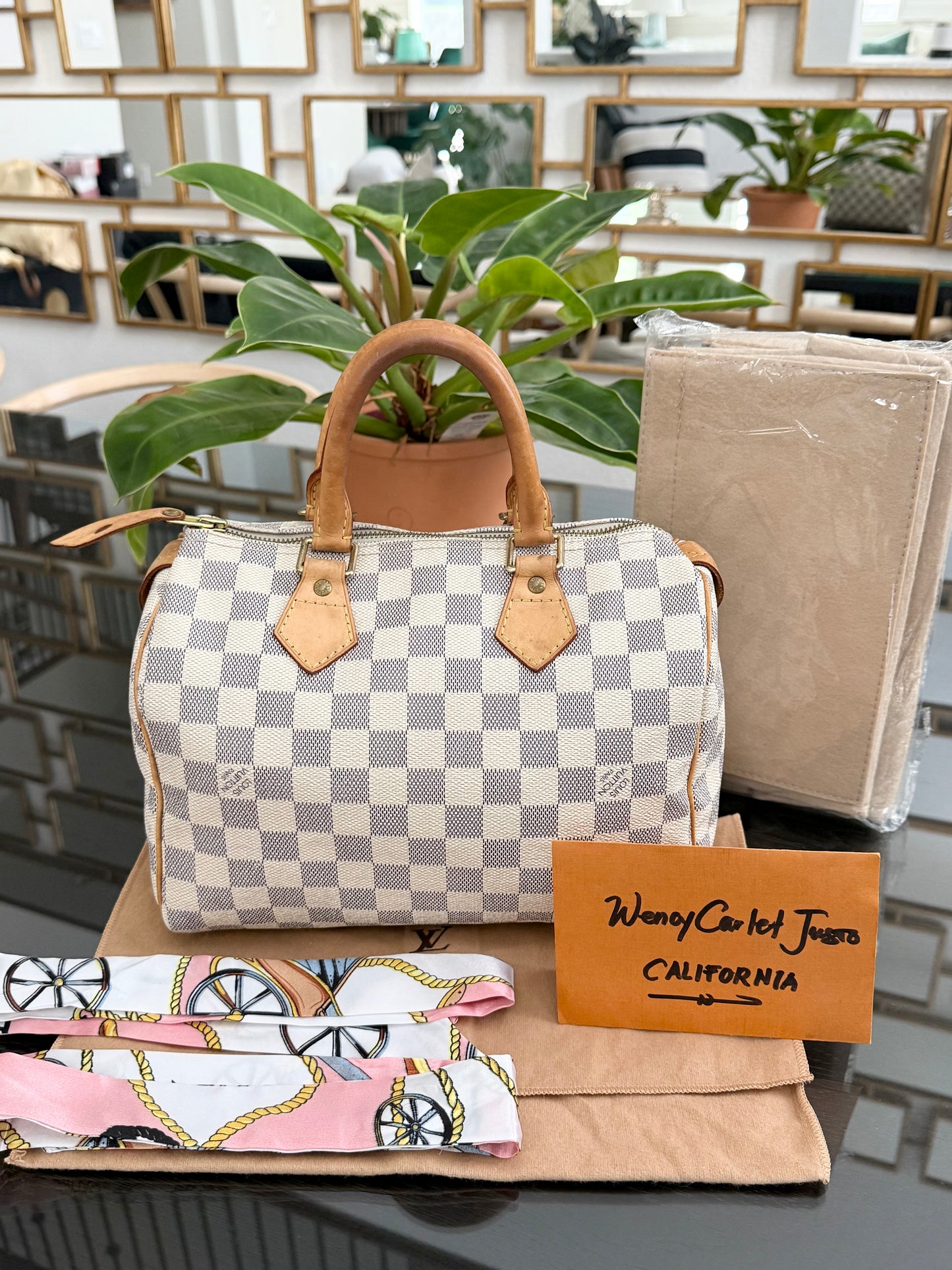 Speedy 25 Azur with Dustbag, insert organizer and twilly 
🗓️ Year: 2007