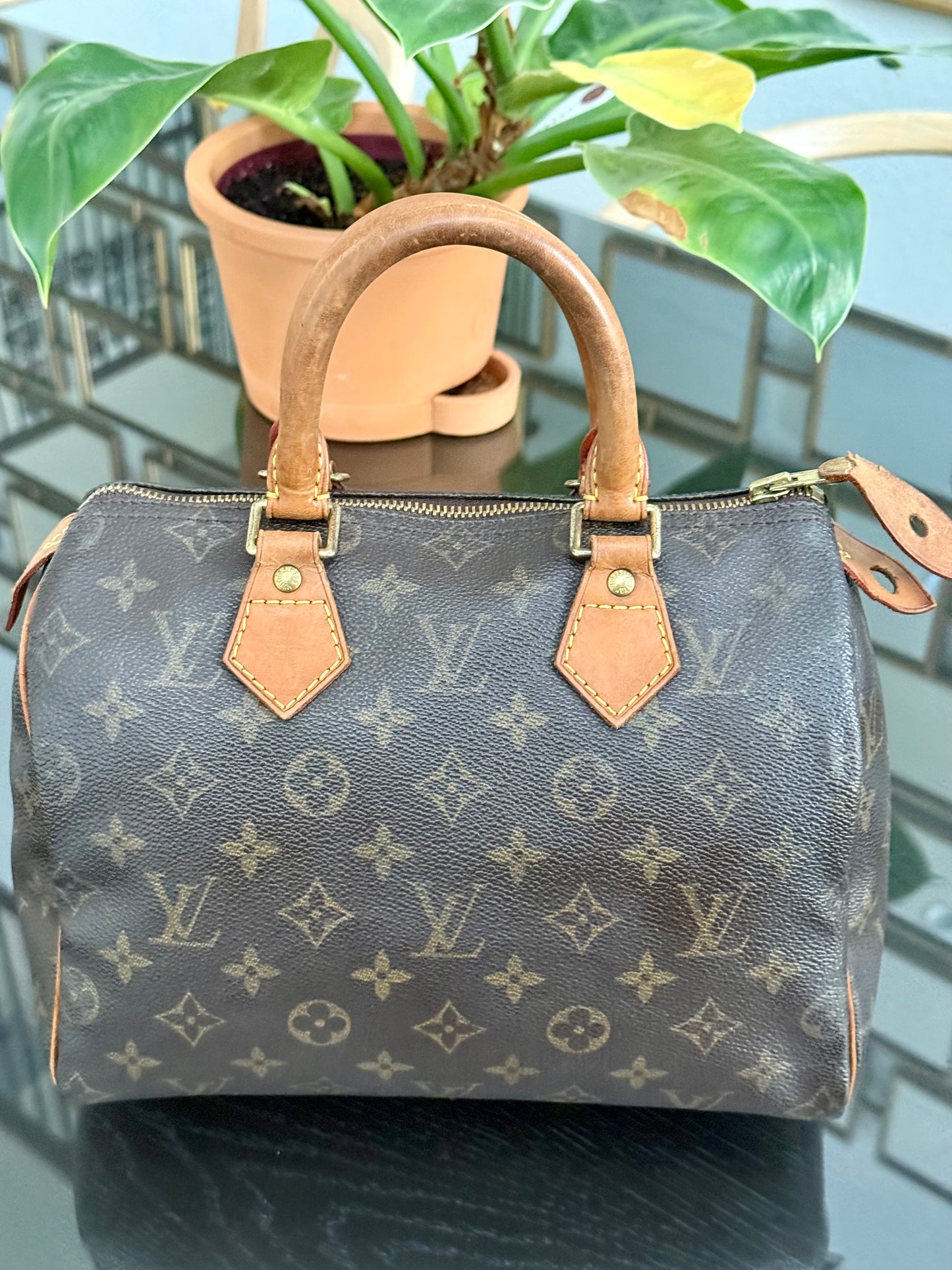 Speedy 25 in Monogram with Dustbag -🗓️ Year: 2000