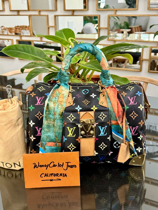 Multicolor Speedy 30 with Dustbag and generic twilly set 📅 Year: 2008