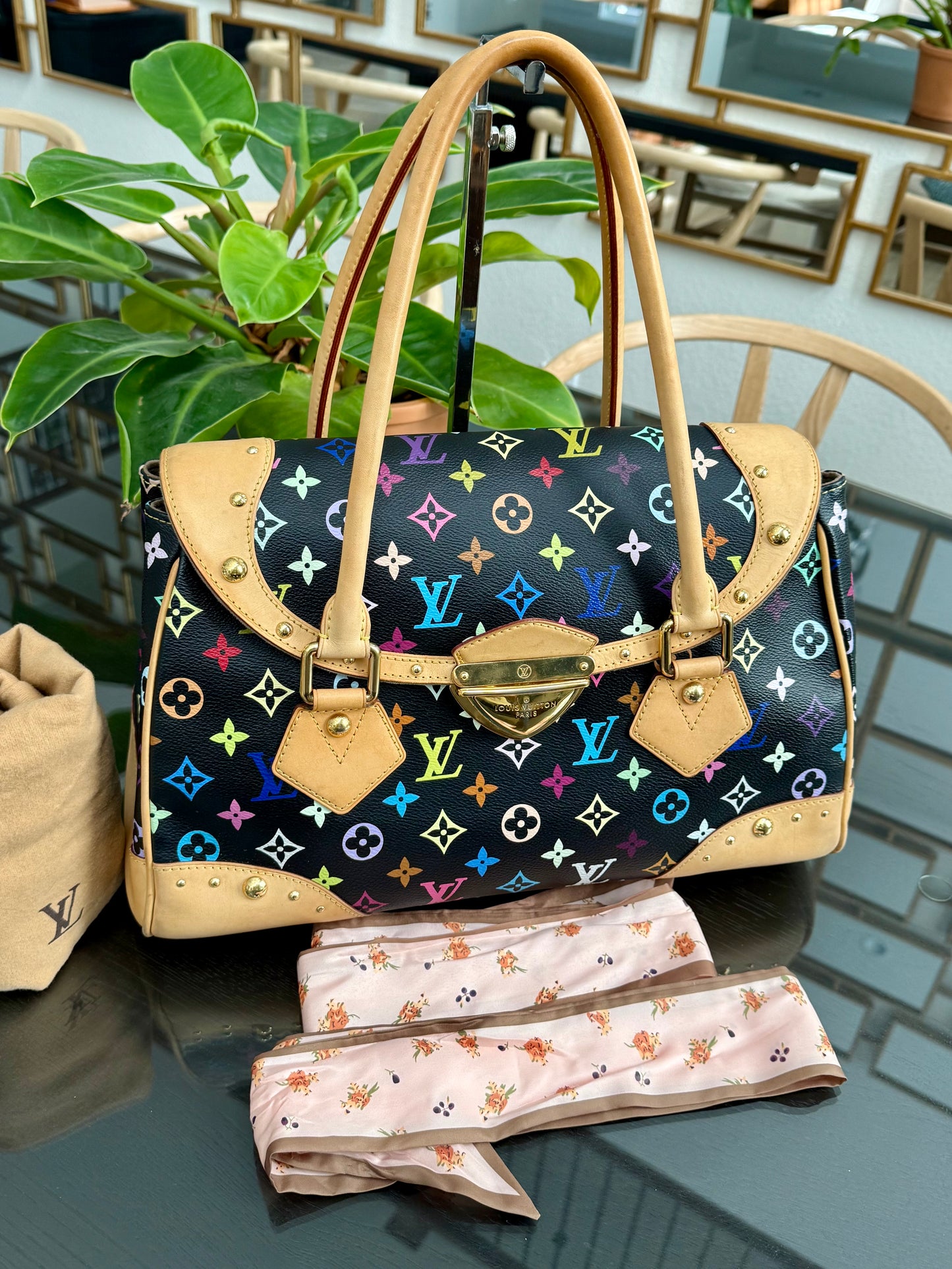 Multicolor Beverly GM with Dustbag 📅 Year: 2008