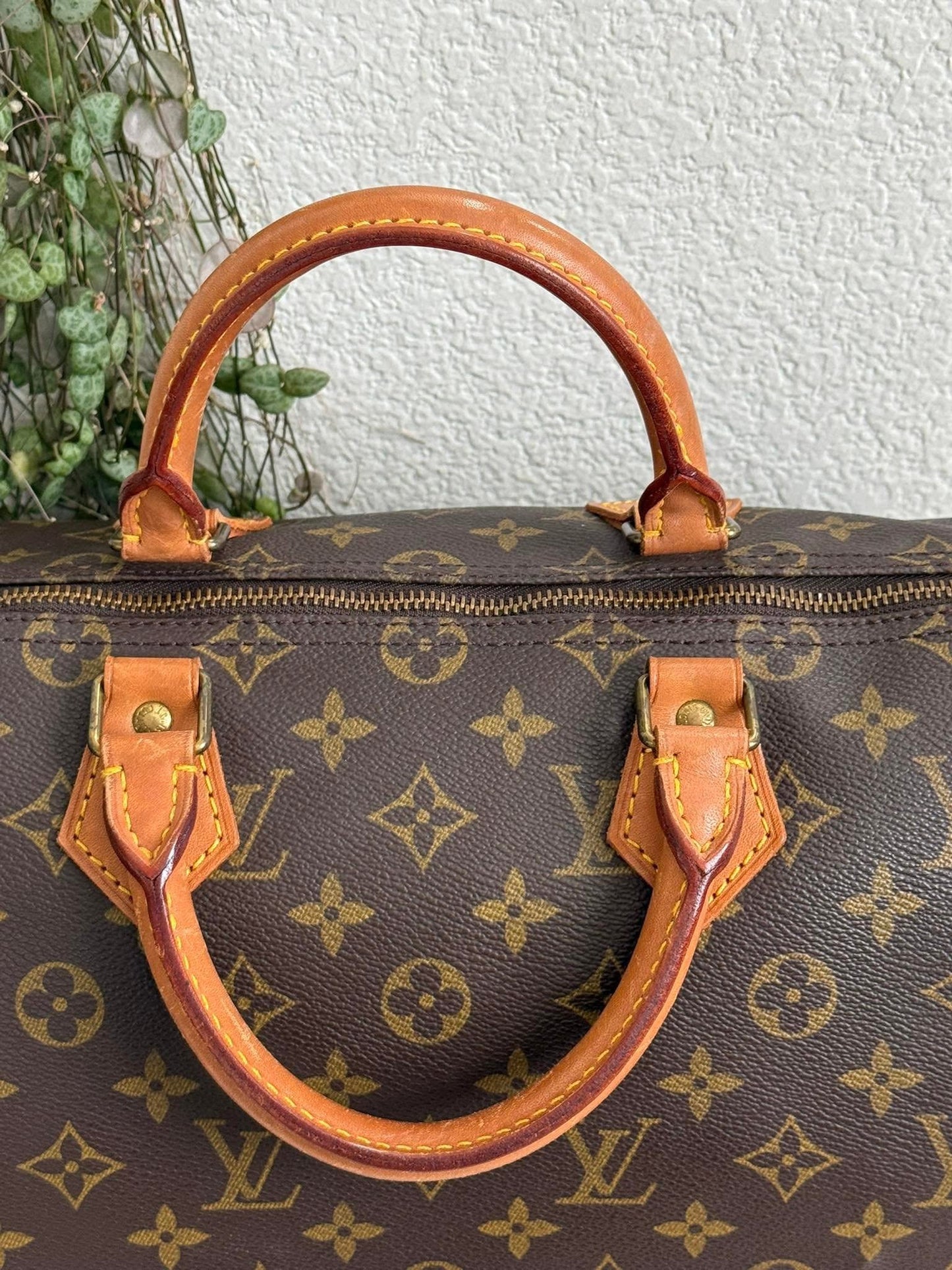 Speedy 35 with Insert Organizer - 📅 Year: 1989