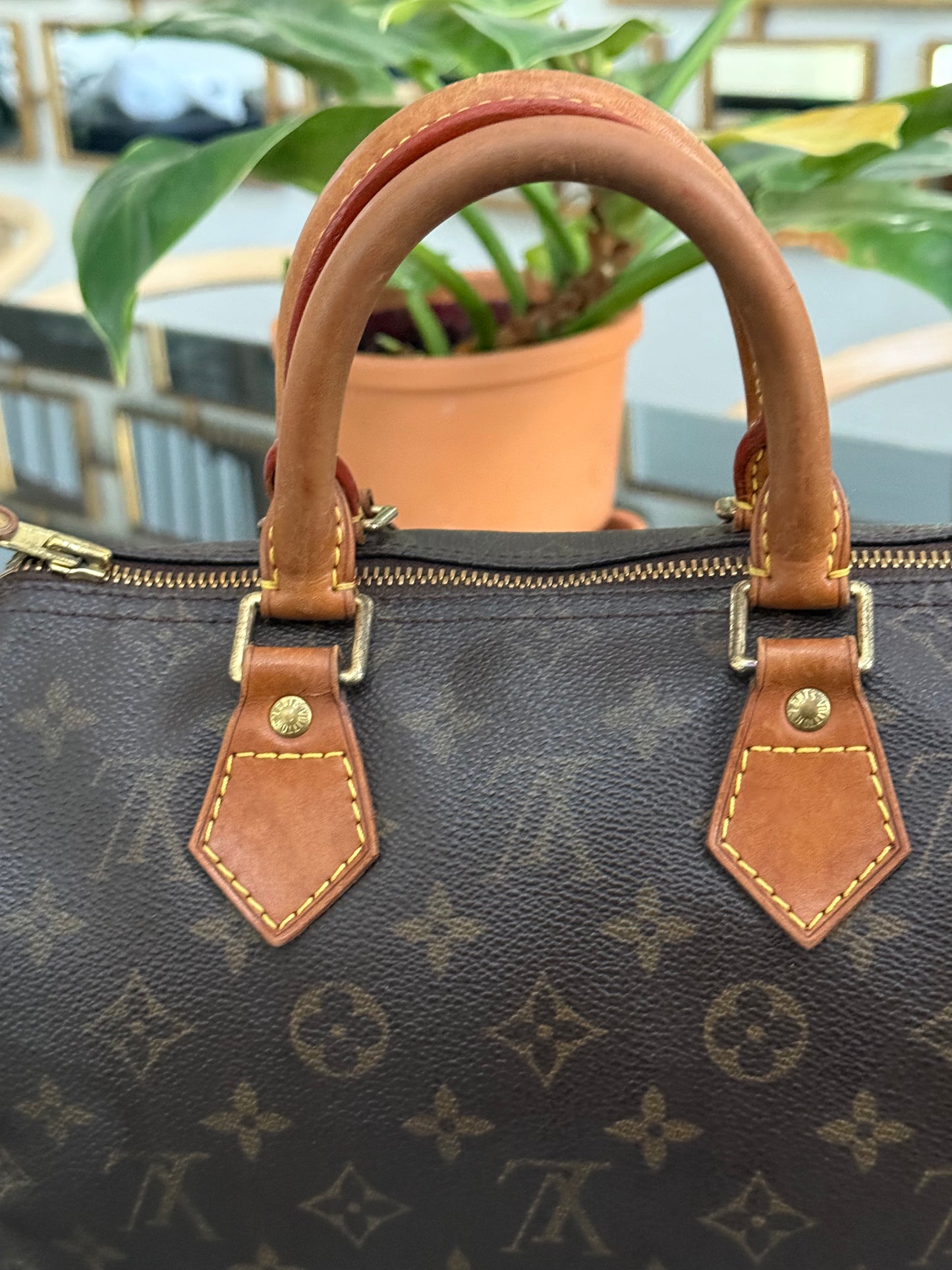 Speedy 25 in Monogram with Dustbag -🗓️ Year: 2000