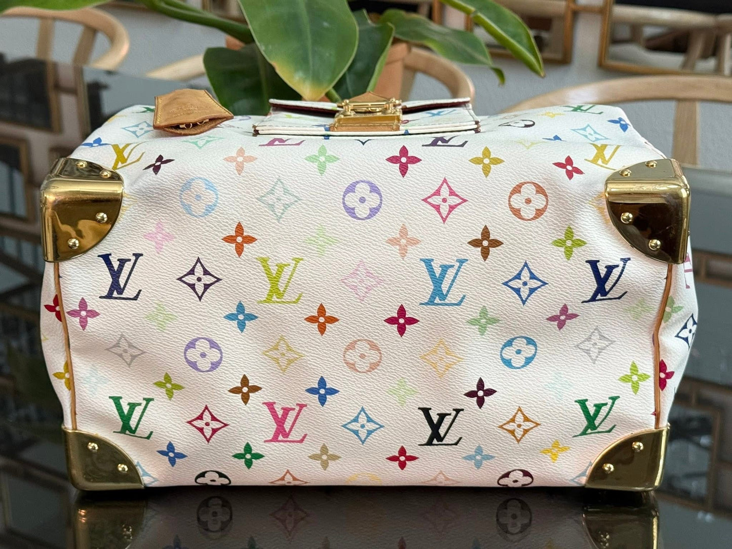 Multicolor Speedy 30 with Dustbag, Insert Organizer and generic twilly set 📅 Year: 2005