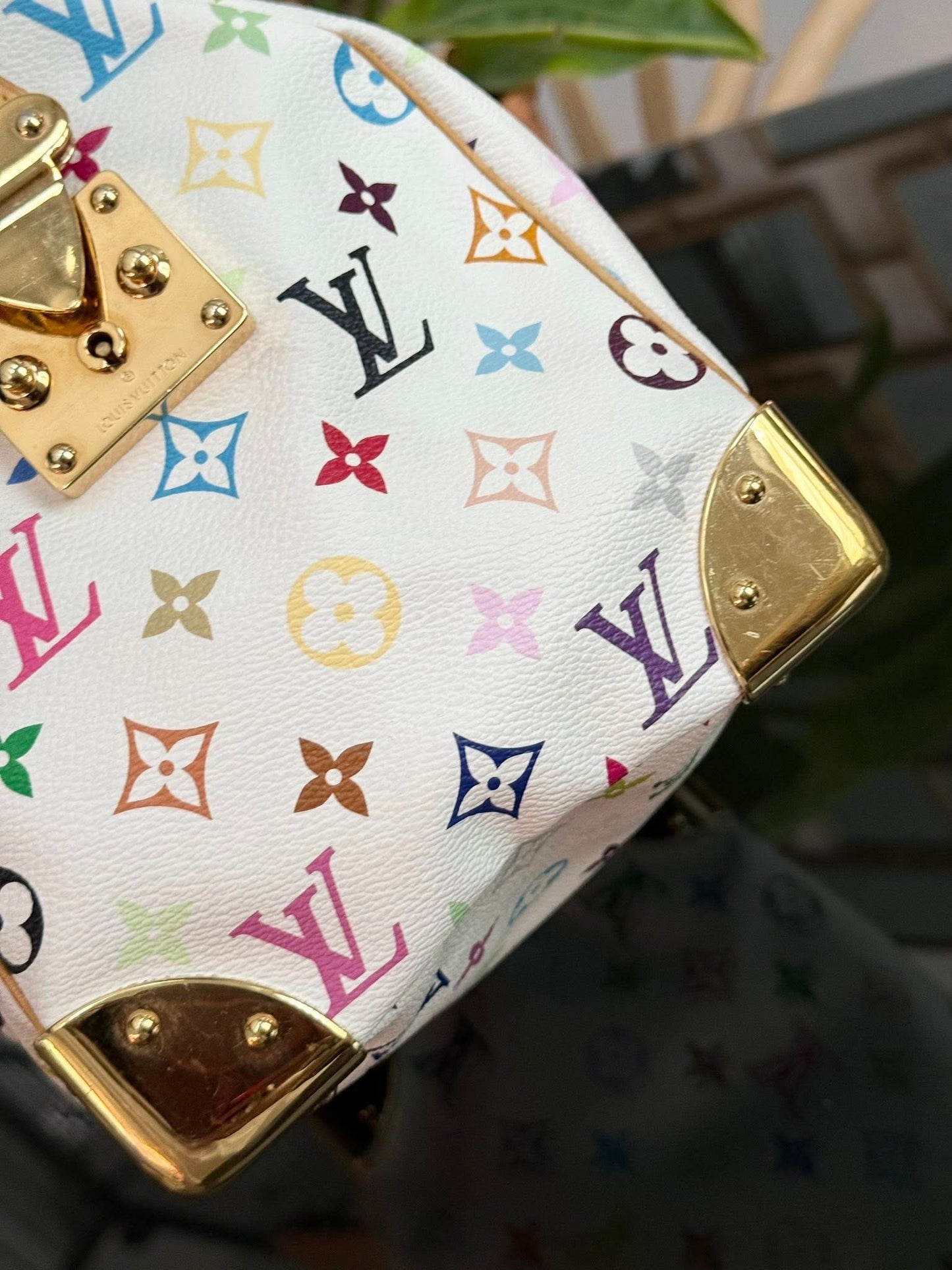 Multicolor Speedy 30 with Dustbag, Insert Organizer and generic twilly set 📅 Year: 2005