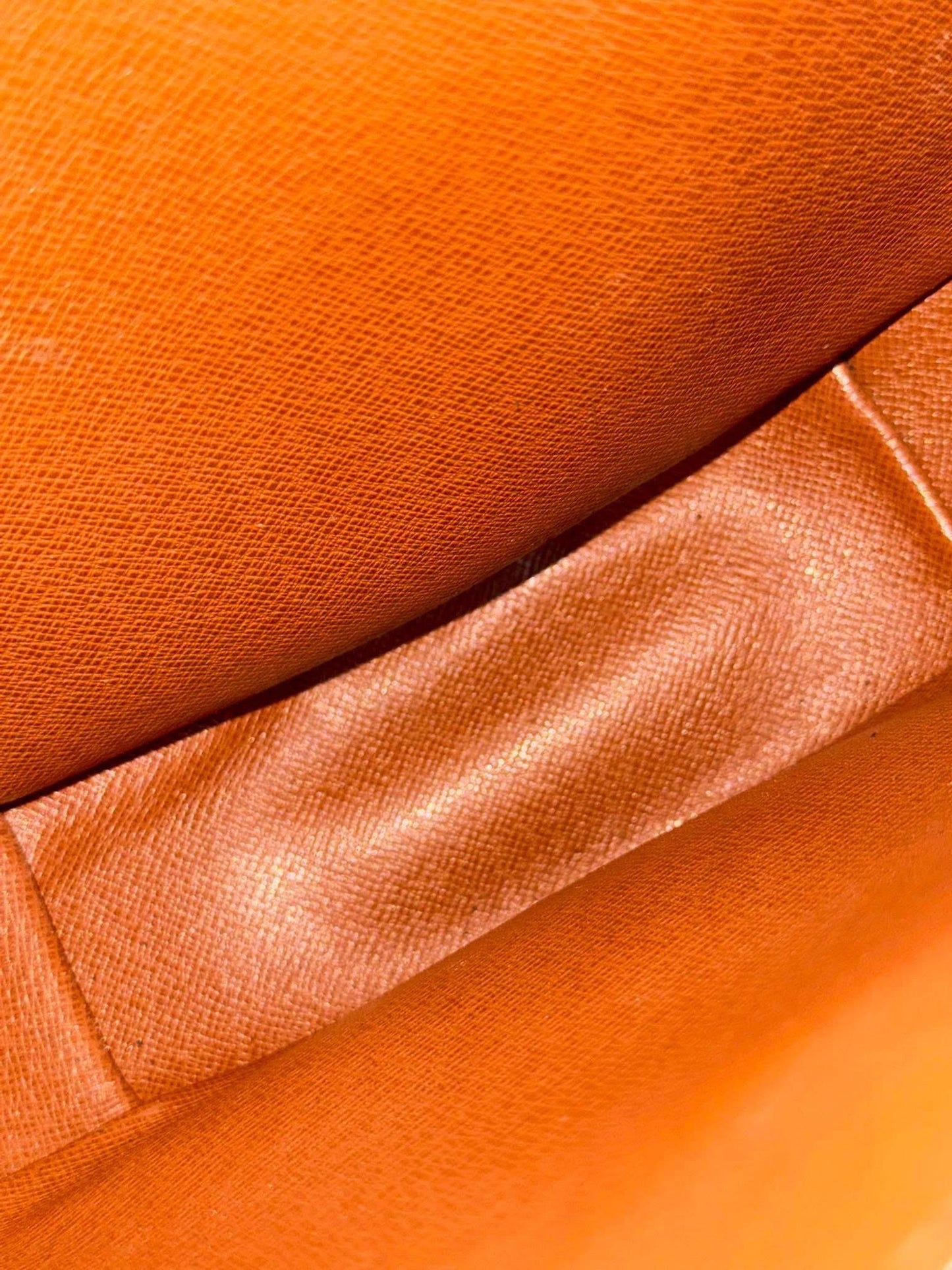 Chantilly MM Crossbody Bag 🌺 📅 Year: 1995
