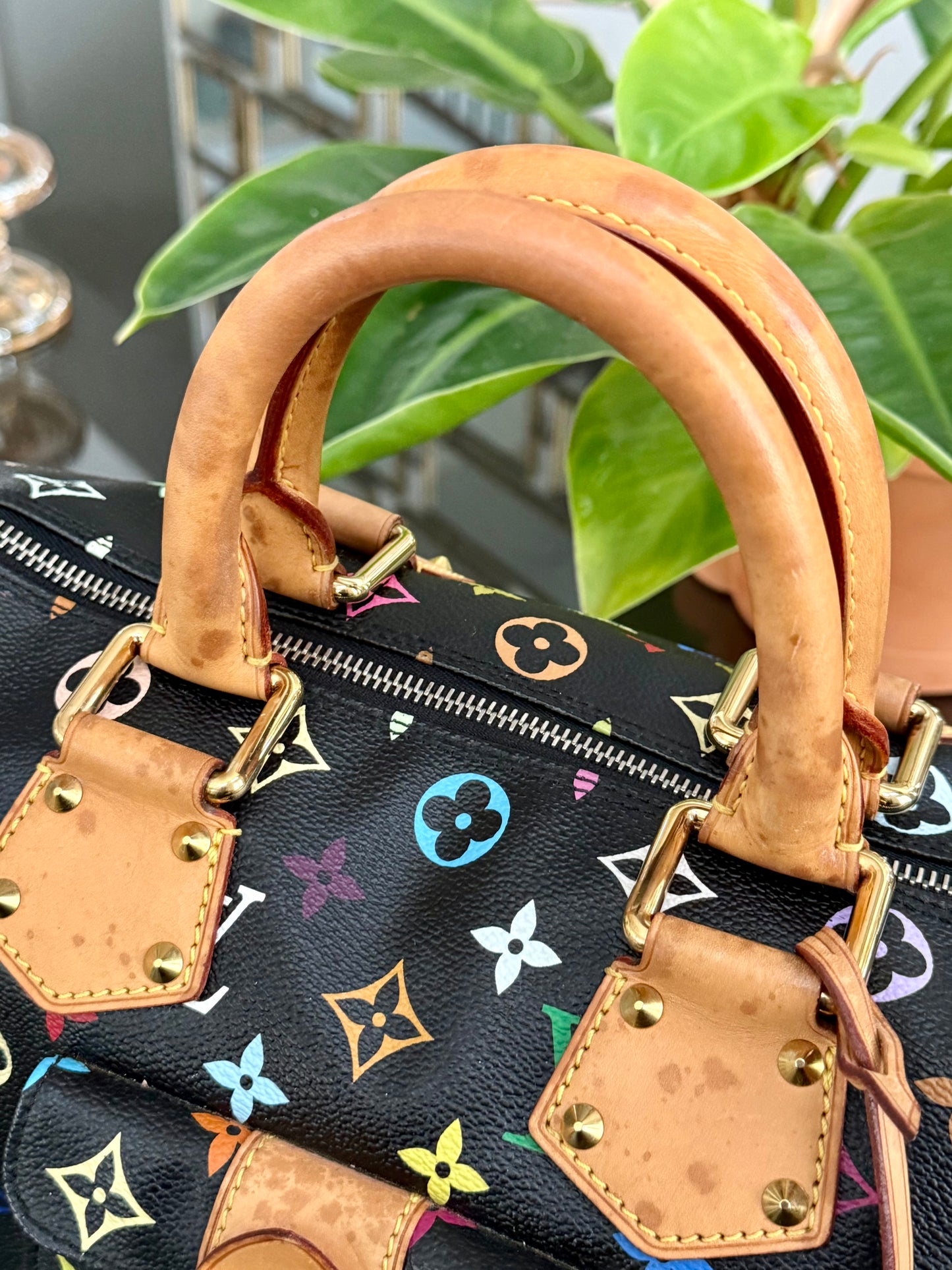 Multicolor Speedy 30 with Dustbag and twilly set 📅 Year: 2008