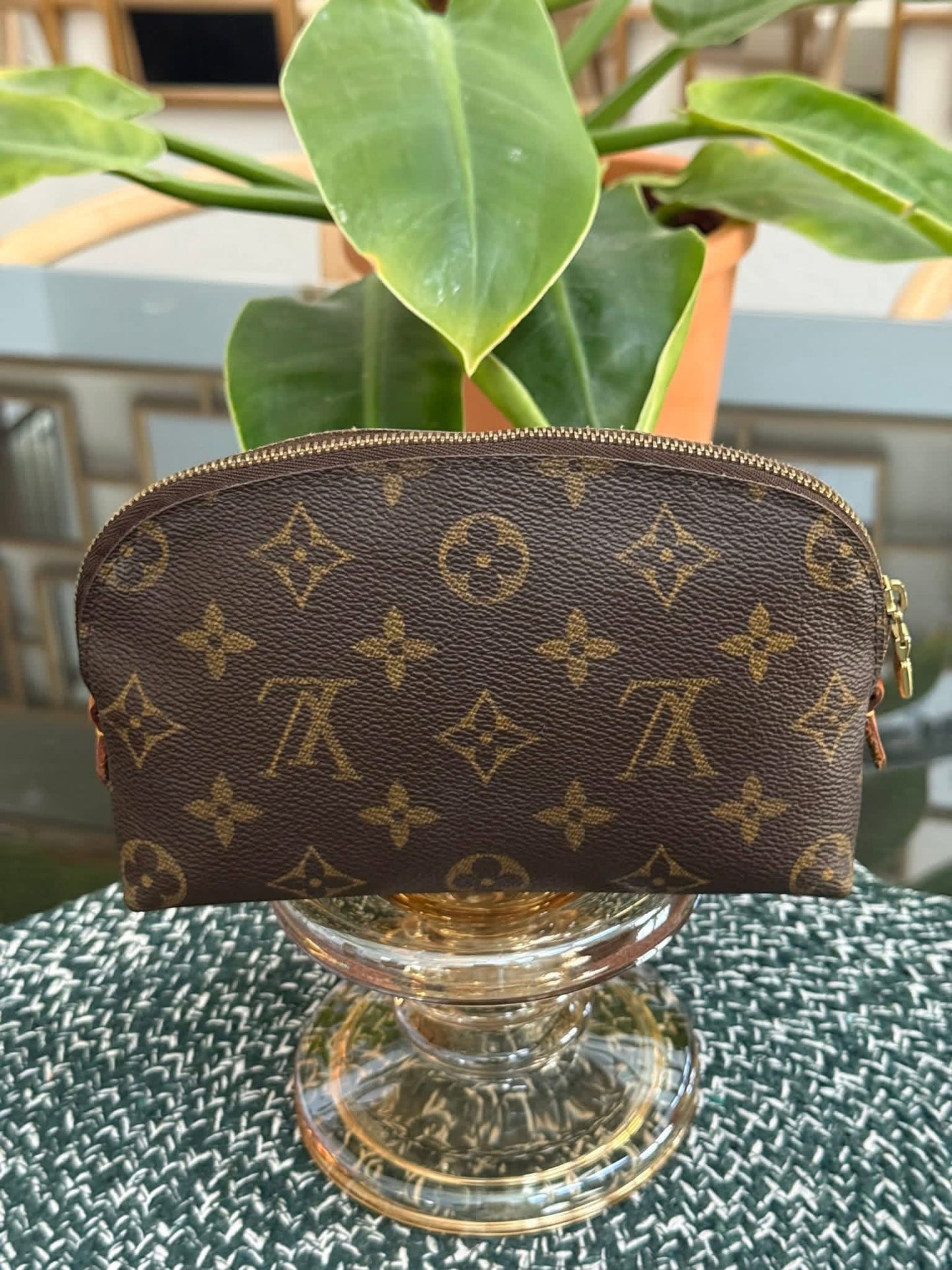 Cosmetic Pouch PM in Monogram 🗓️