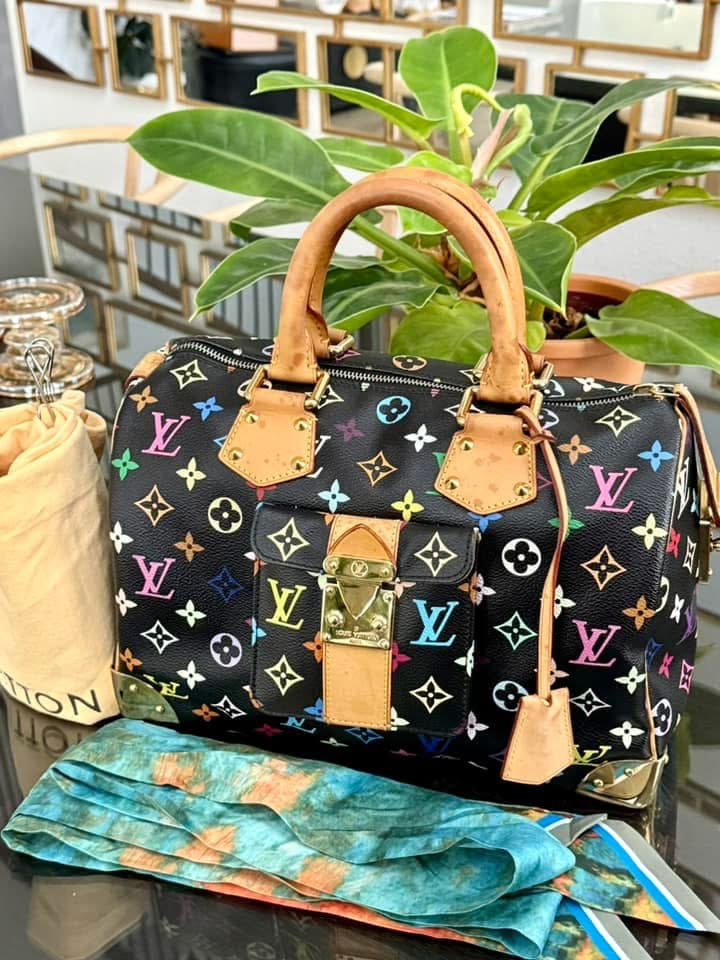 Multicolor Speedy 30 with Dustbag and generic twilly set 📅 Year: 2008