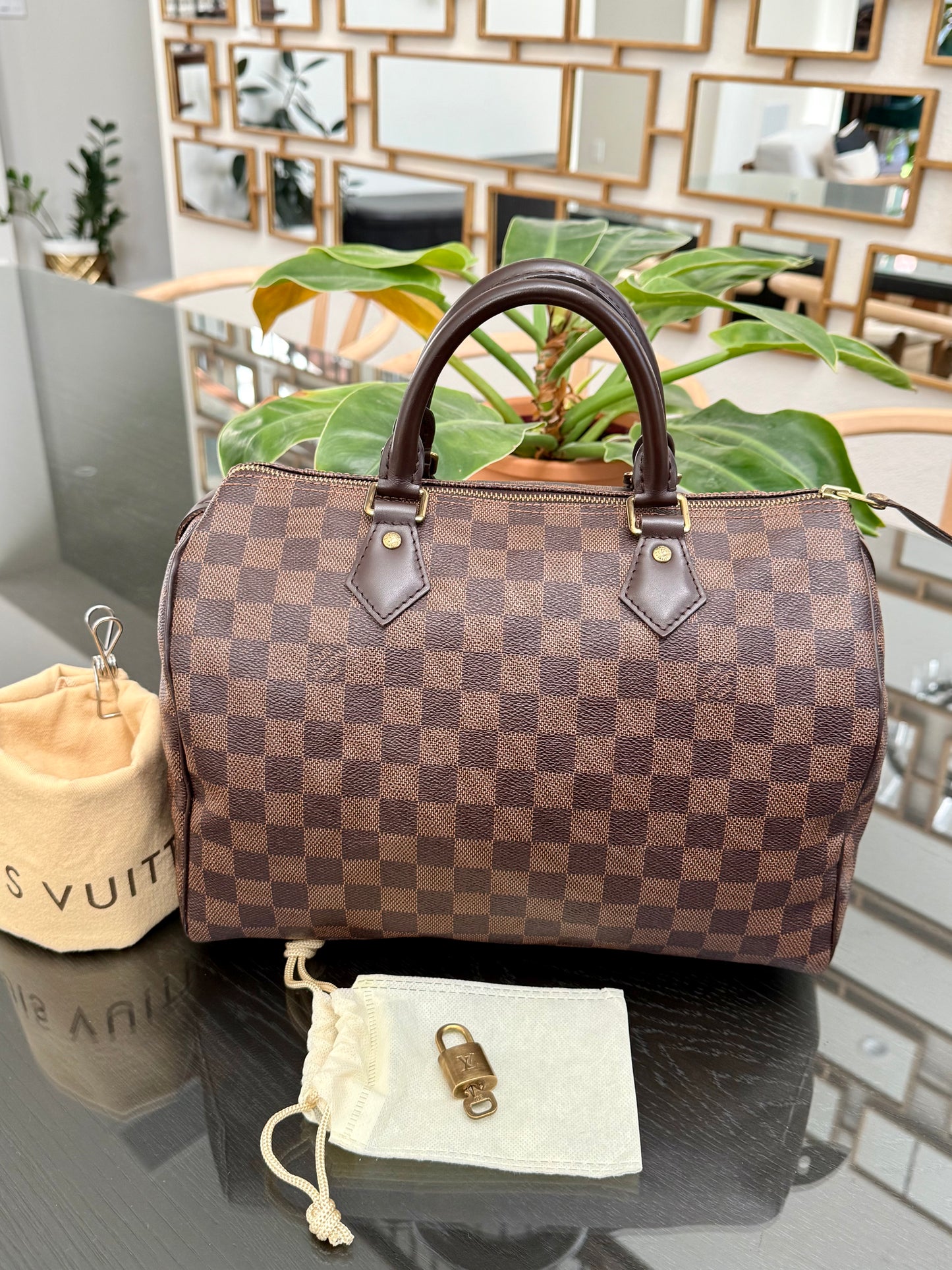 Speedy 30 in DE with 🔐 lock, Key and Dustbag -🗓️ Year: 2017