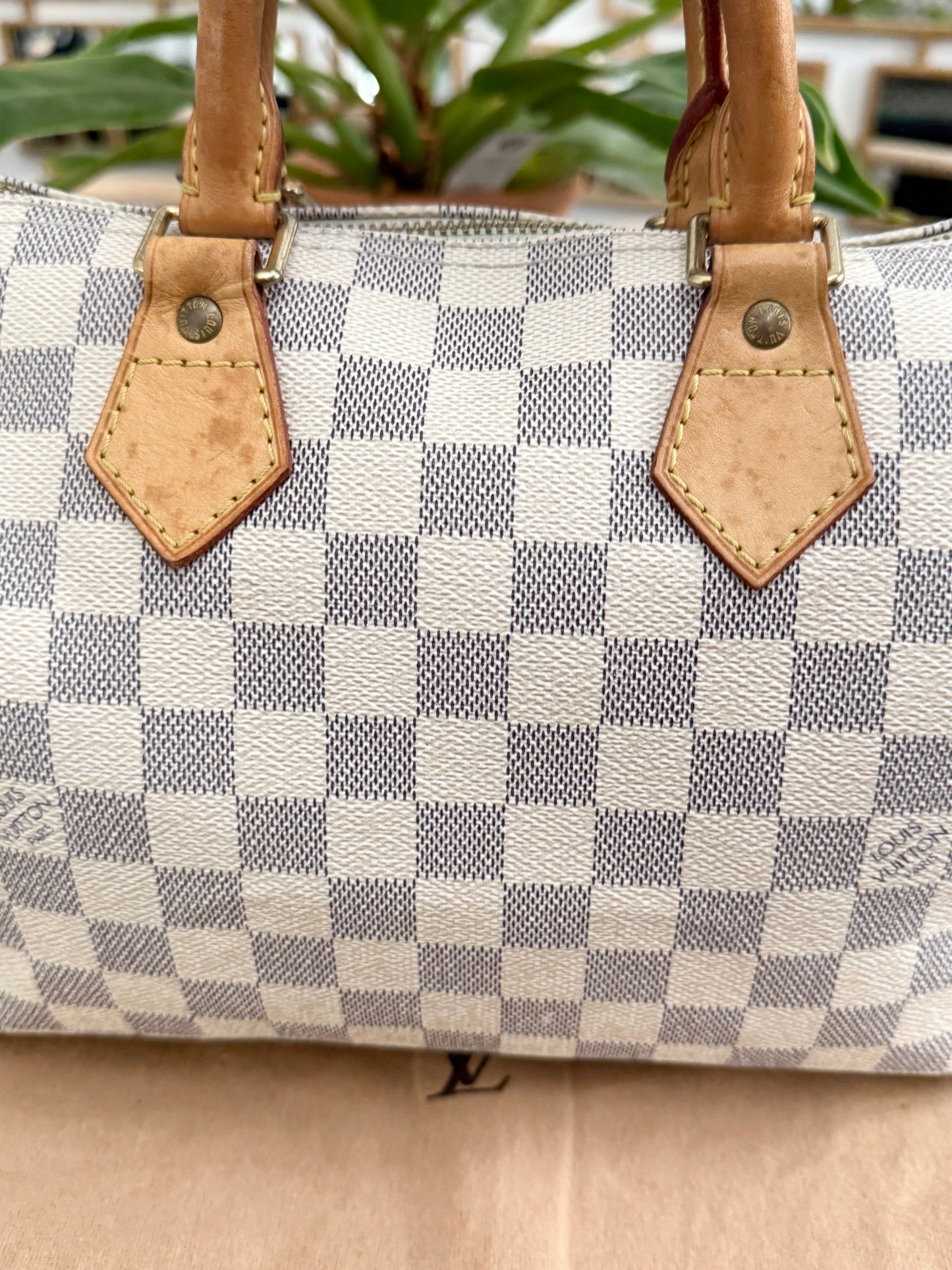 Speedy 25 Azur with Dustbag, insert organizer and twilly 
🗓️ Year: 2007