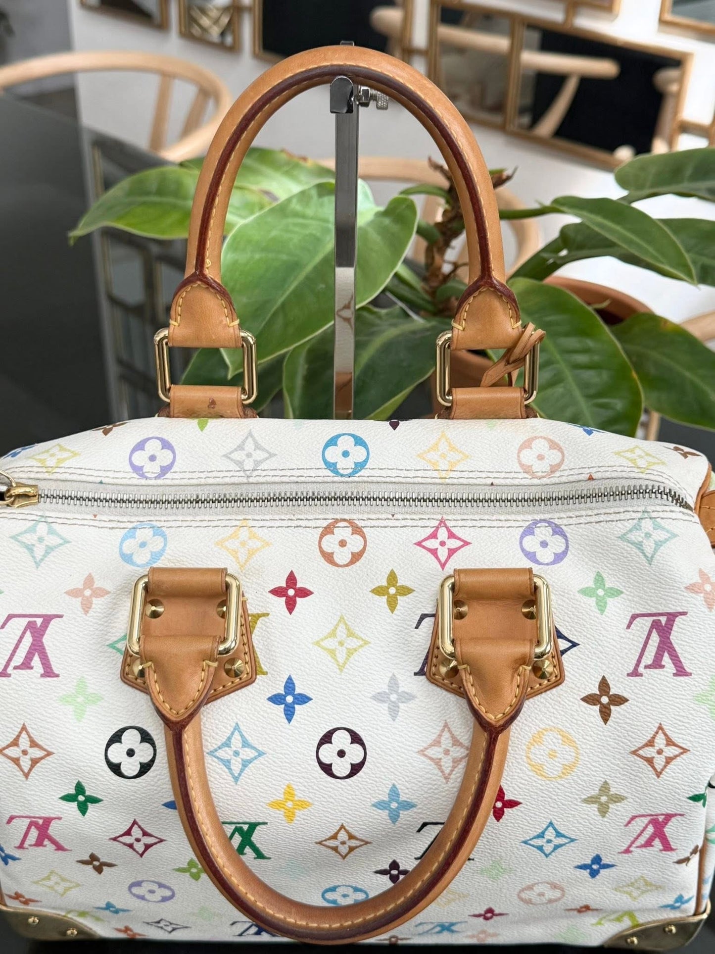 Multicolor Speedy 30 with Dustbag, twilly set and Insert Organizer 📅 Year: 2007