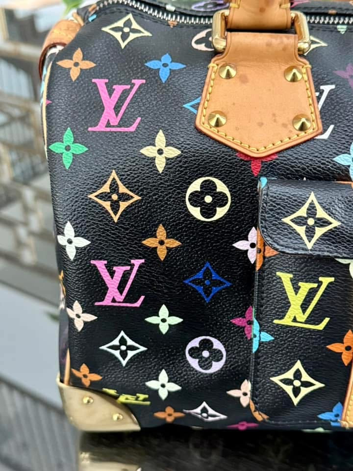 Multicolor Speedy 30 with Dustbag and generic twilly set 📅 Year: 2008