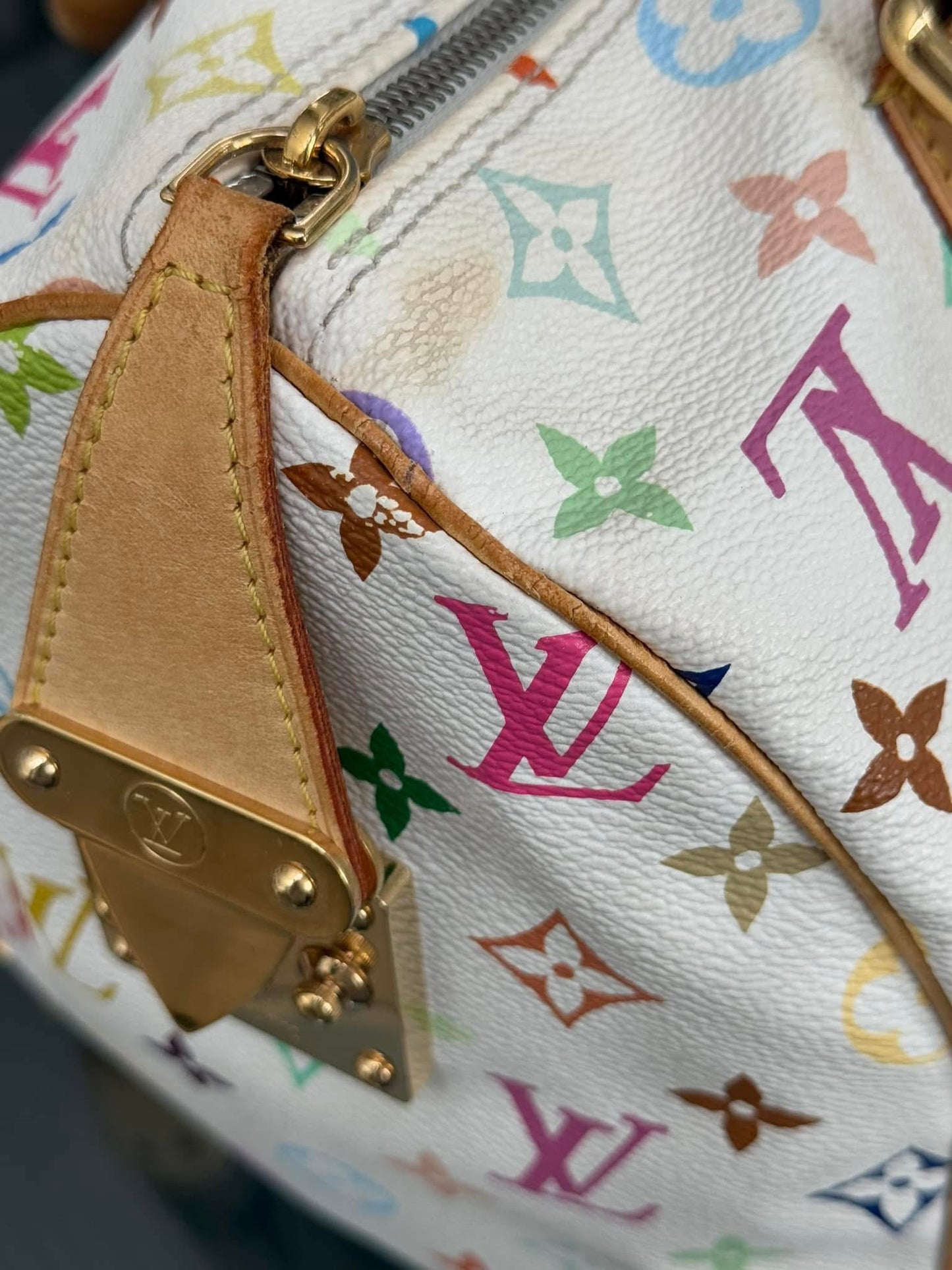 Multicolor Speedy 30 with Dustbag and Insert Organizer 📅 Year: 2006