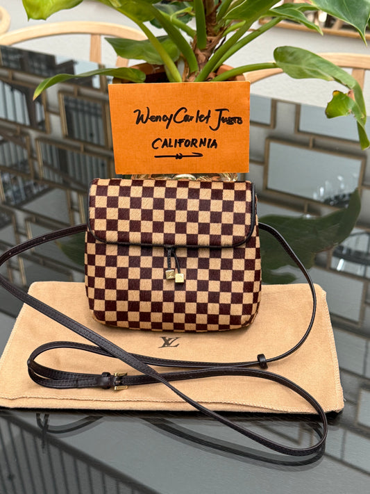 Damier Sauvage Gazelle Crossbody Pouch with Dustbag -🗓️ Year: 2001