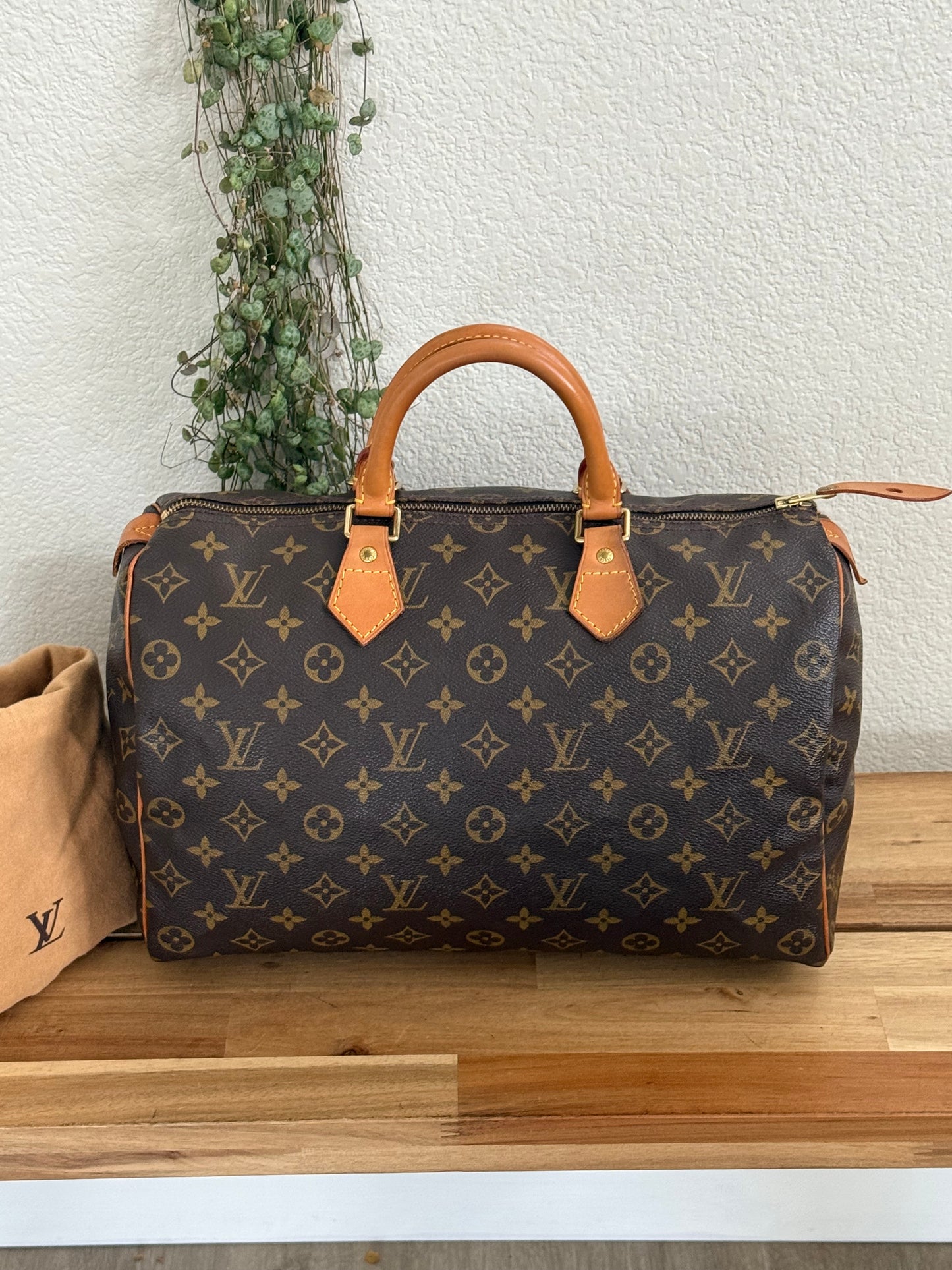 Speedy 35 with Dustbag - 📅 Year: 2000