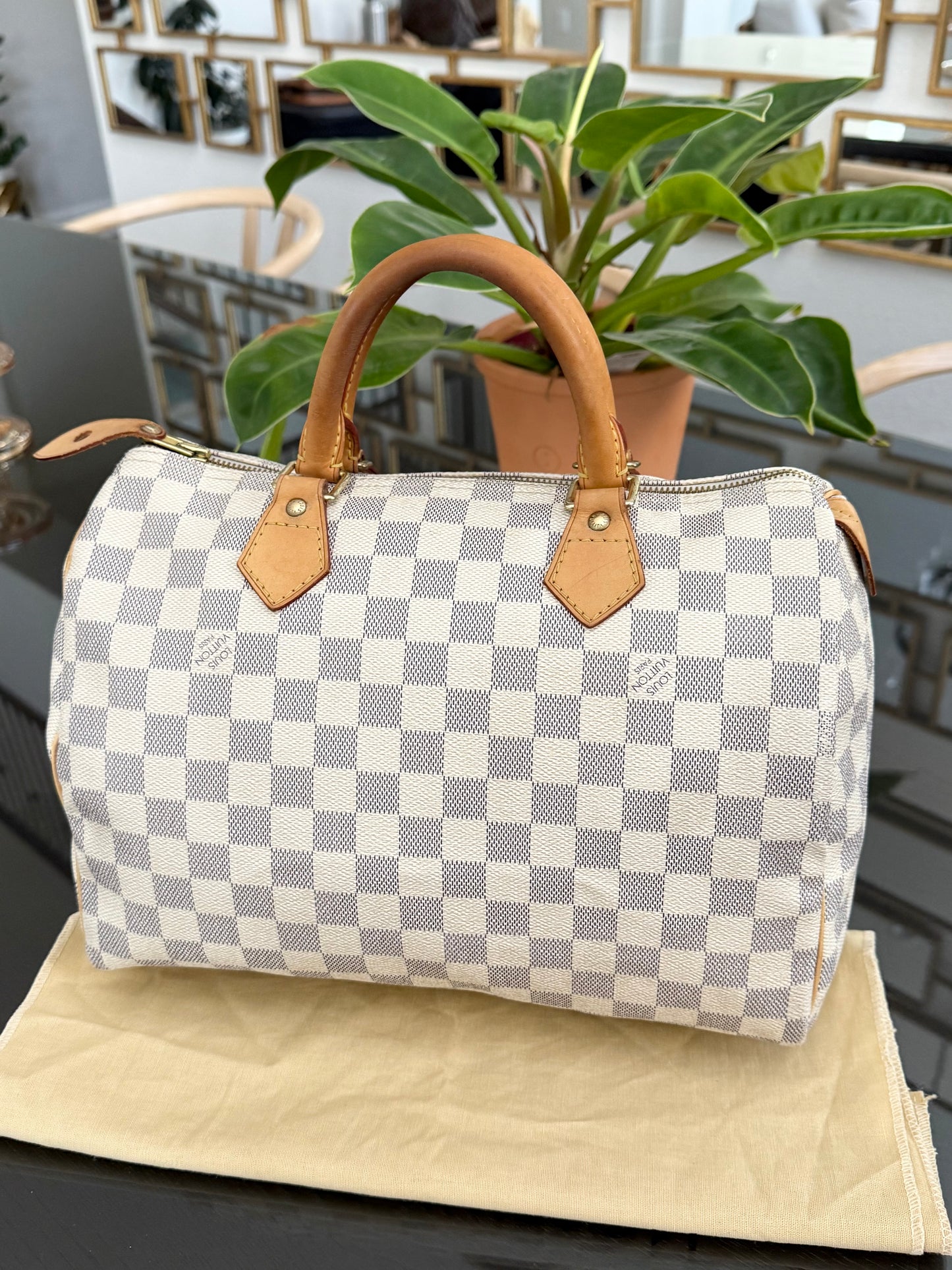 Speedy 30 Azur with Dustbag and insert organizer 
🗓️ Year: 2007