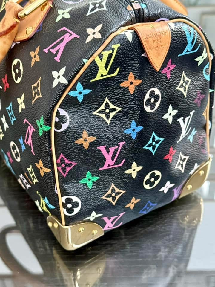 Multicolor Speedy 30 with Dustbag and generic twilly set 📅 Year: 2008