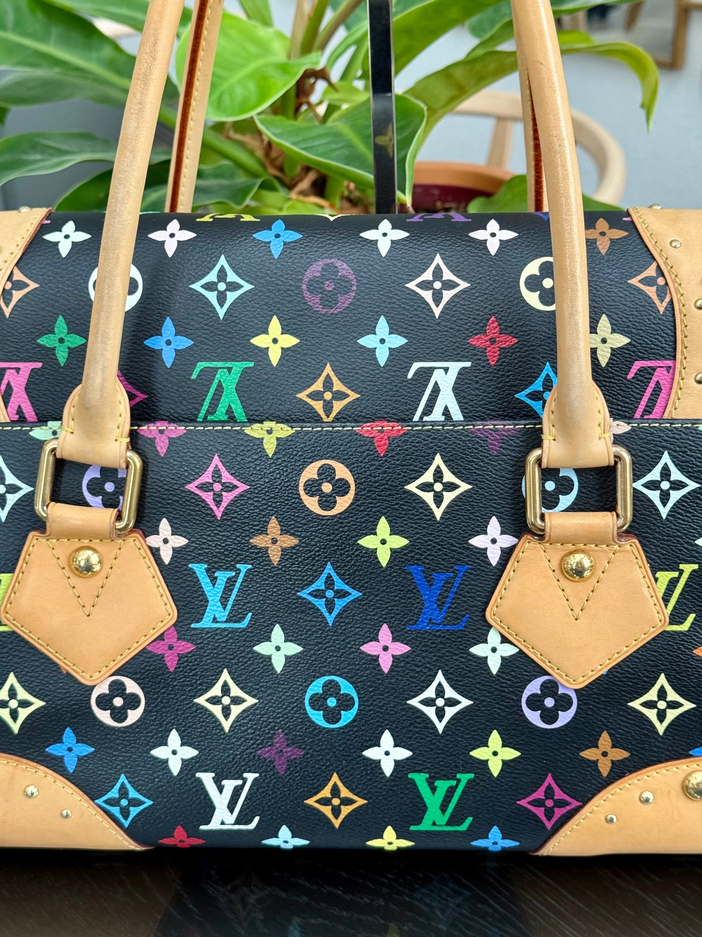Multicolor Beverly GM with Dustbag 📅 Year: 2008