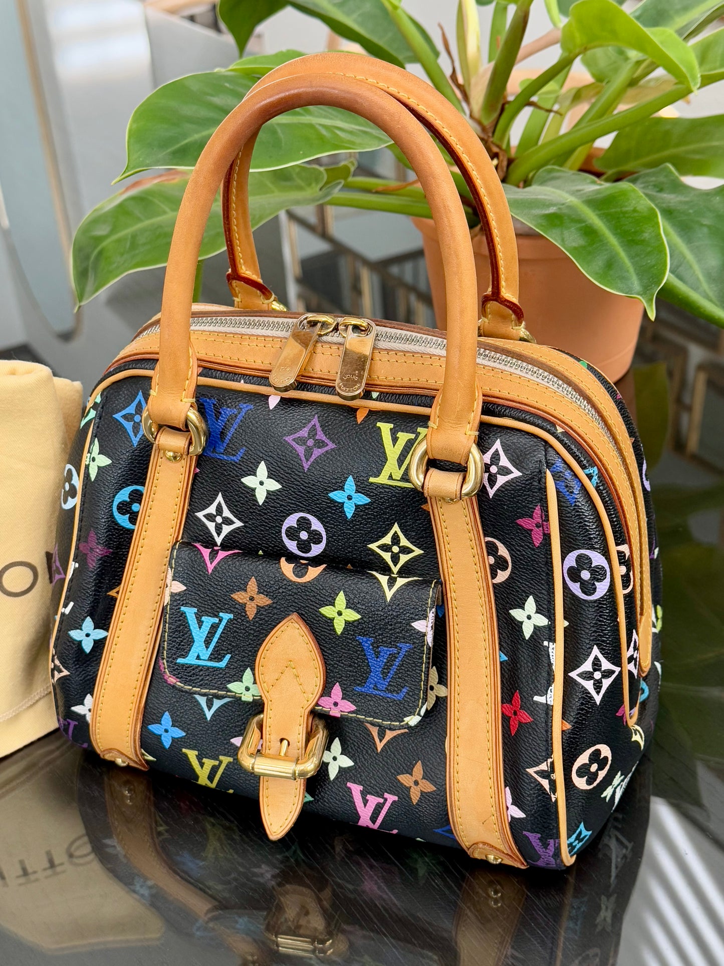 Multicolor Priscilla with Dustbag 📅 Year: 2008