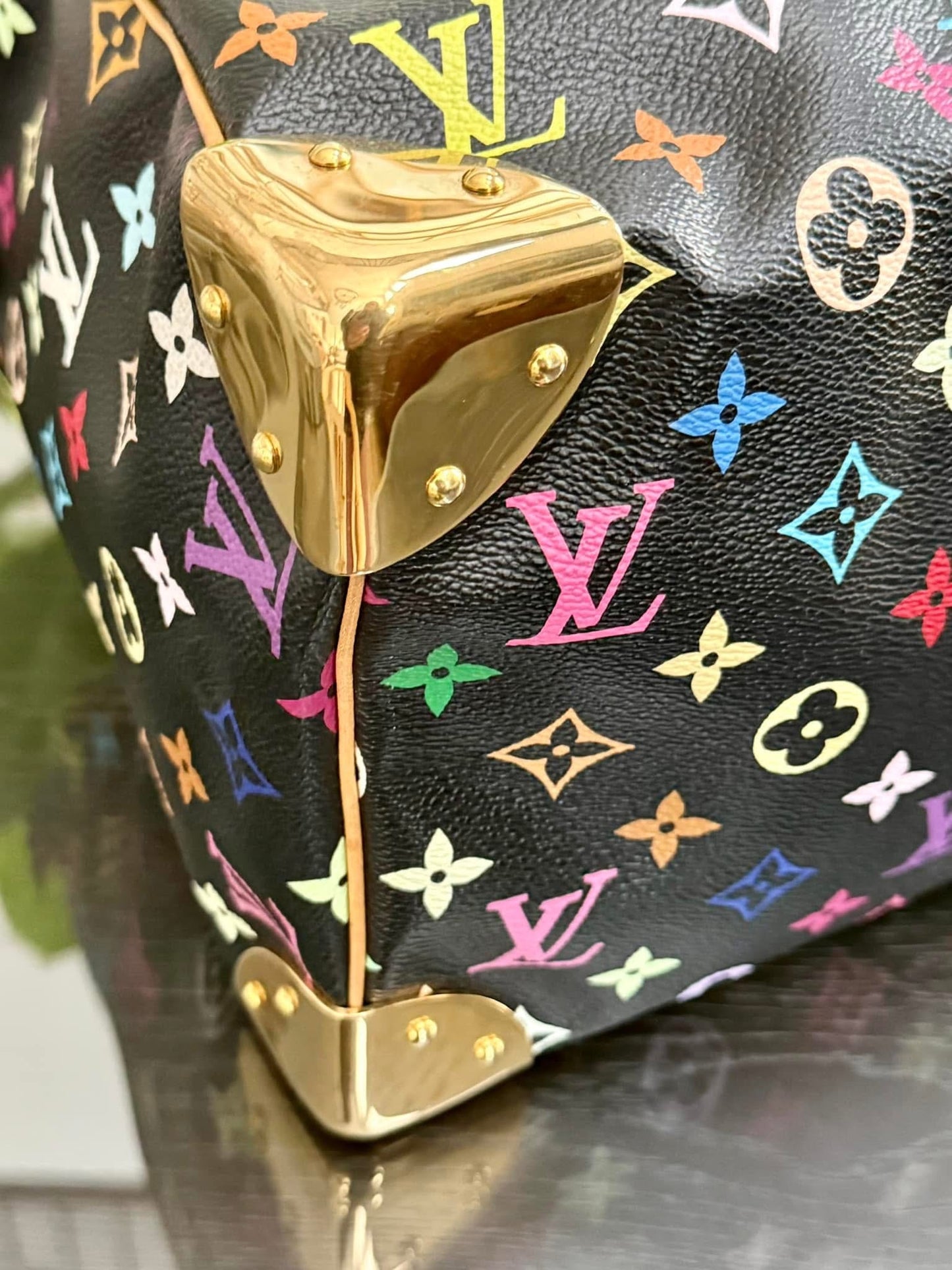 Multicolor Speedy 30 with Dustbag and generic twilly set 📅 Year: 2008