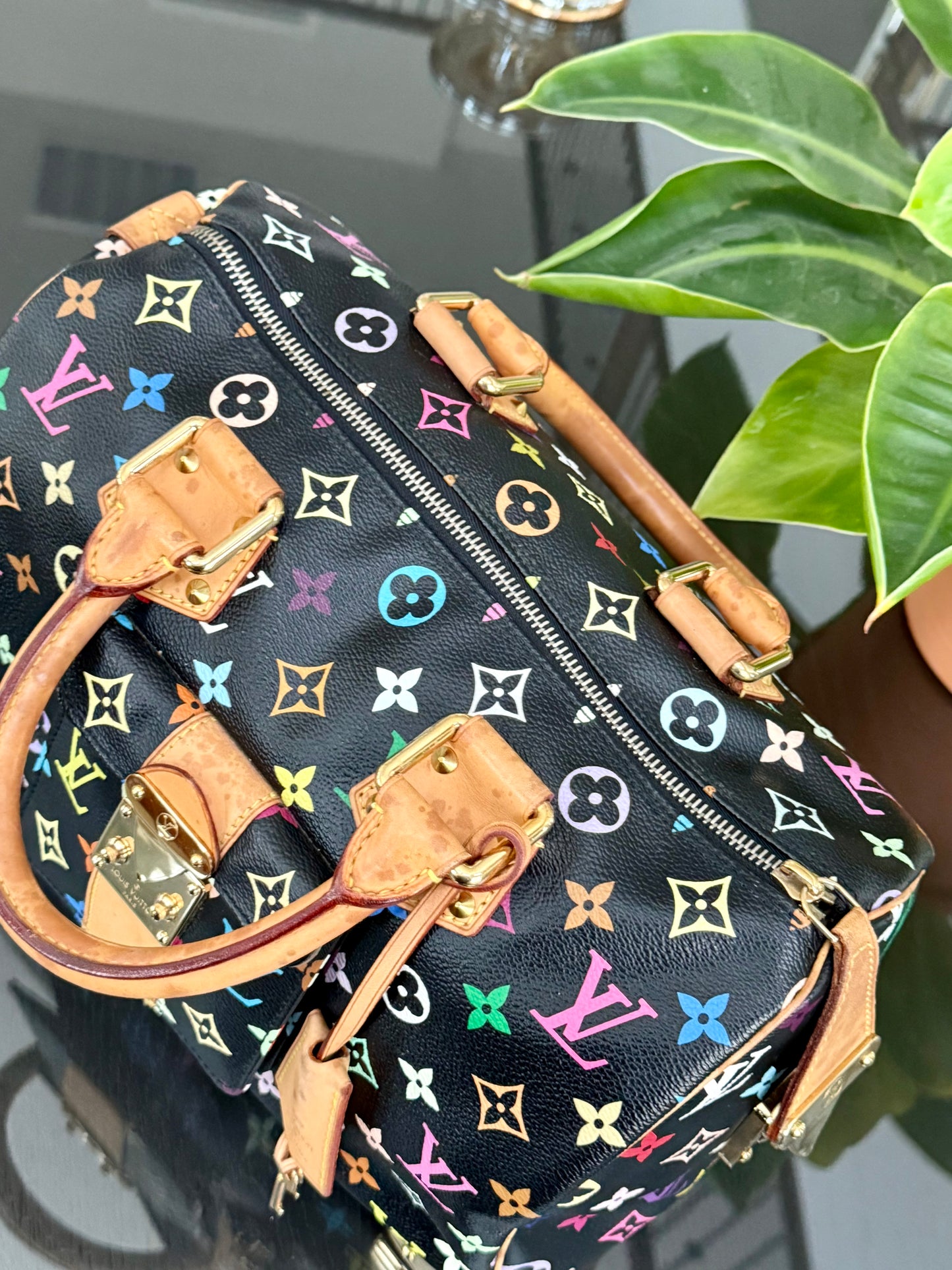 Multicolor Speedy 30 with Dustbag and twilly set 📅 Year: 2008