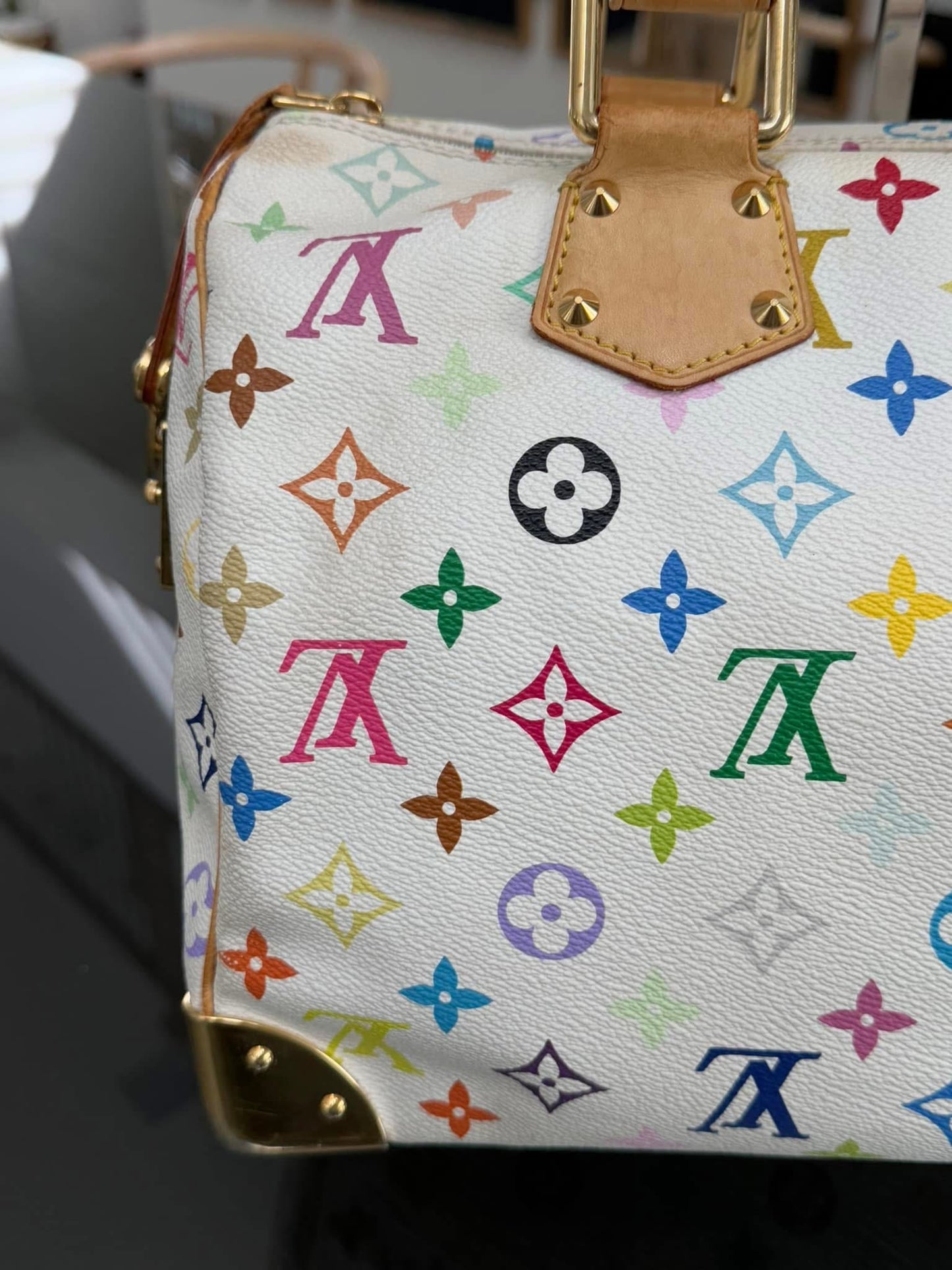 Multicolor Speedy 30 with Dustbag and Insert Organizer 📅 Year: 2006