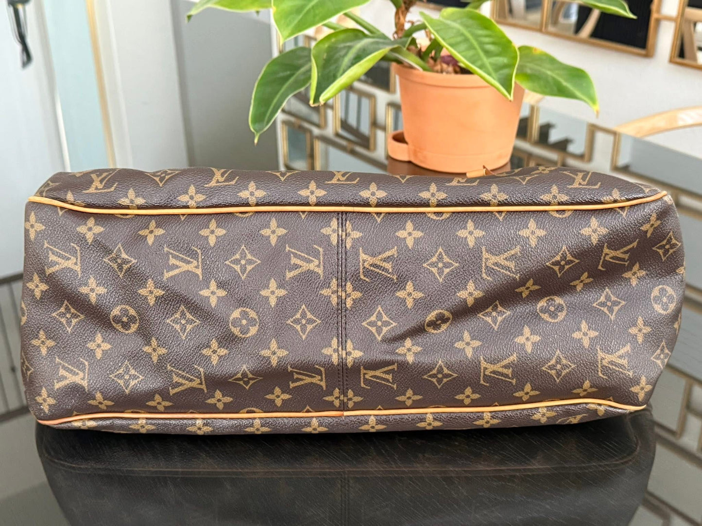 Delightful GM with Dustbag and Insert Organizer 📅 Year: 2010
