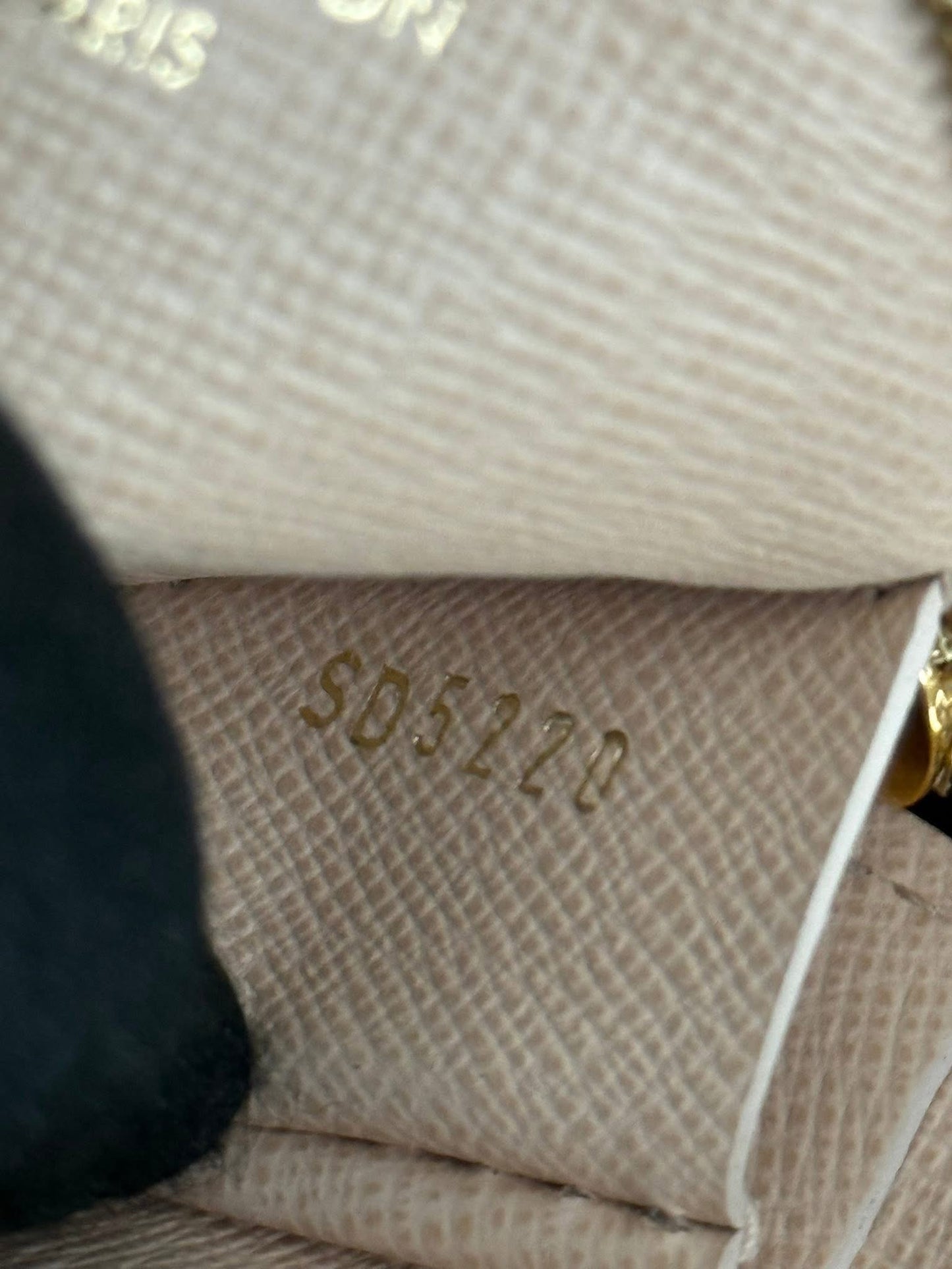 Monogram Multi Pochette Accessories with Original Strap, Dustbag and Box 🗓️ Year: 2020