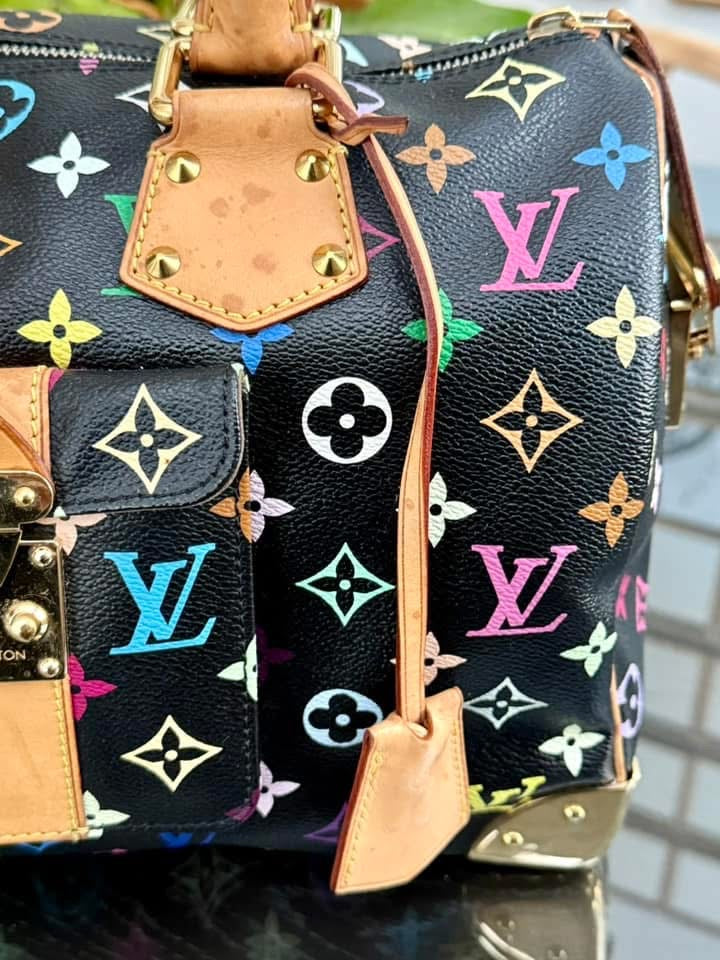 Multicolor Speedy 30 with Dustbag and generic twilly set 📅 Year: 2008