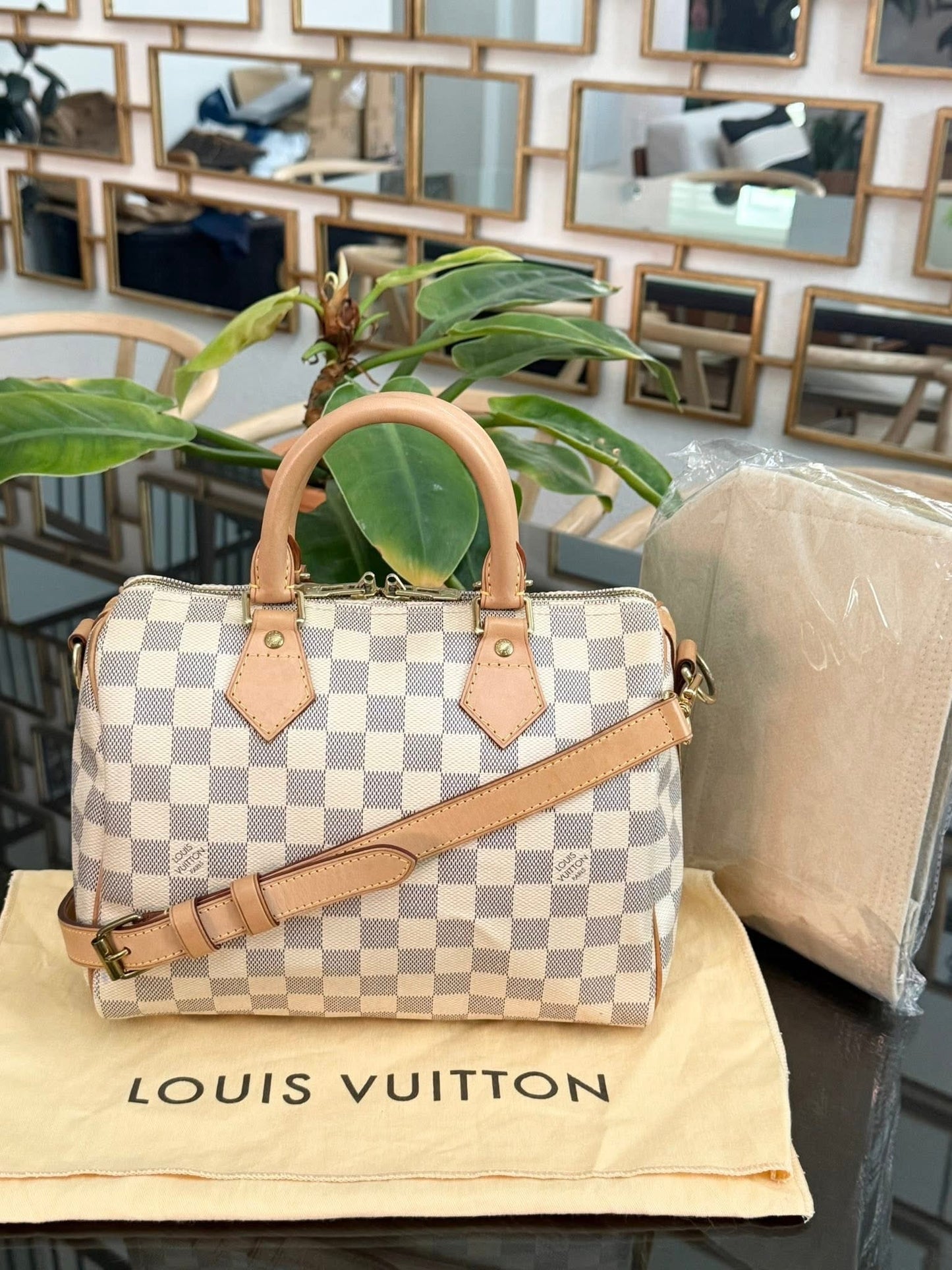 Speedy 25 Bandoulier in Azur with Original Strap, Dustbag and Insert Organizer -🗓️ Year: 2013