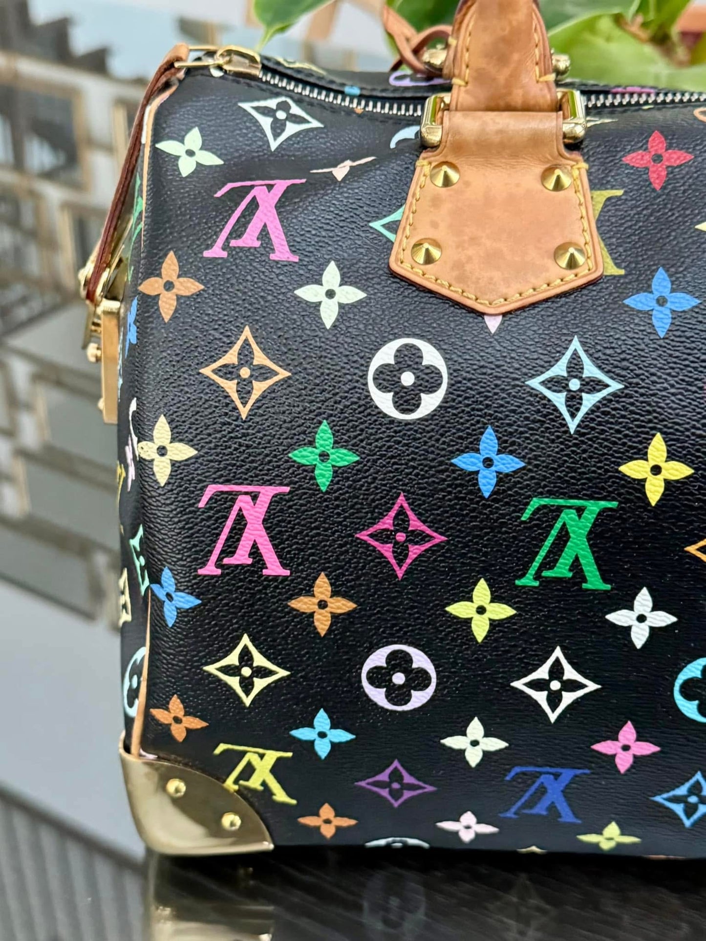 Multicolor Speedy 30 with Dustbag and generic twilly set 📅 Year: 2008