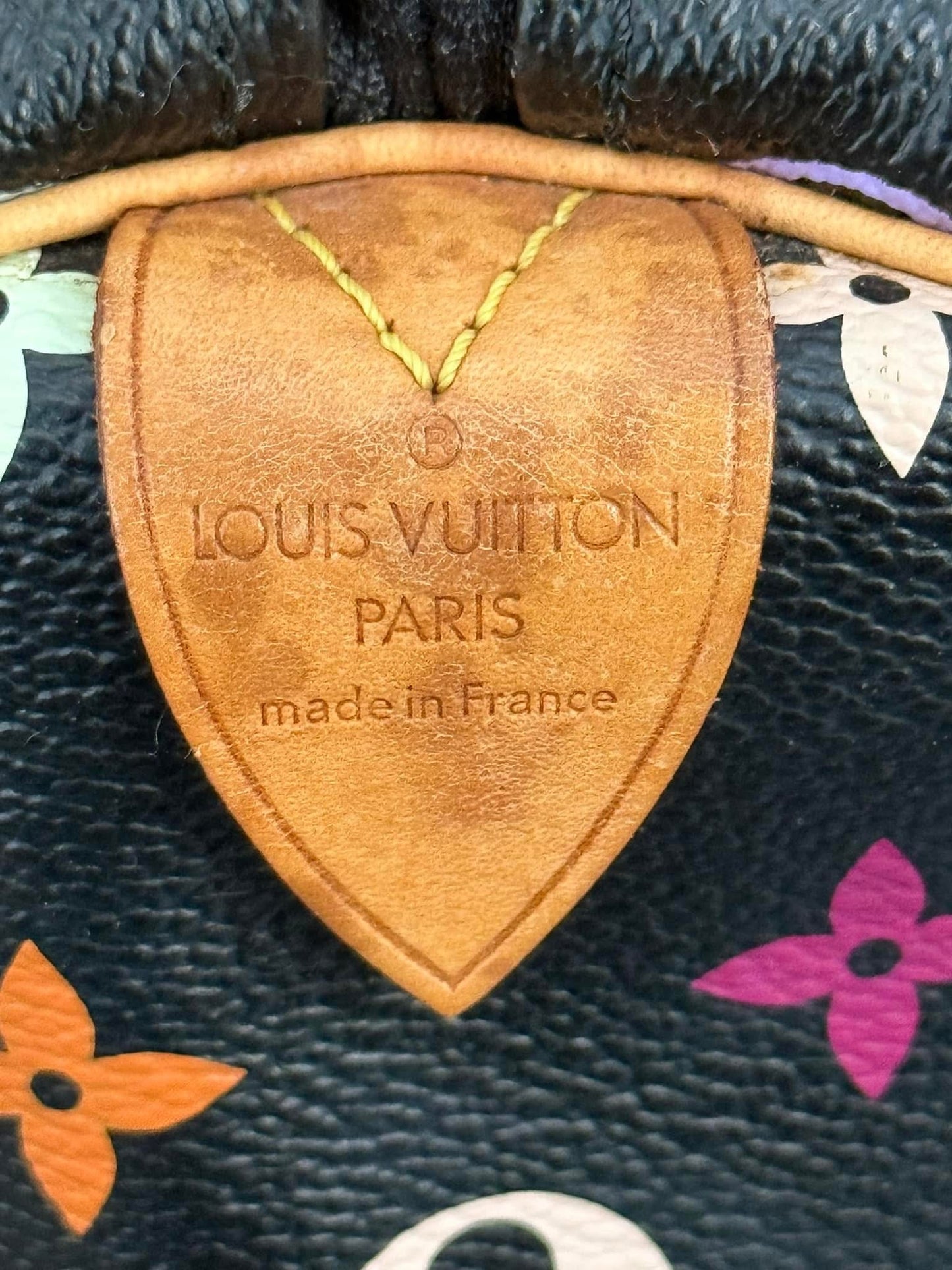 Multicolor Speedy 30 with Dustbag and generic twilly set 📅 Year: 2008