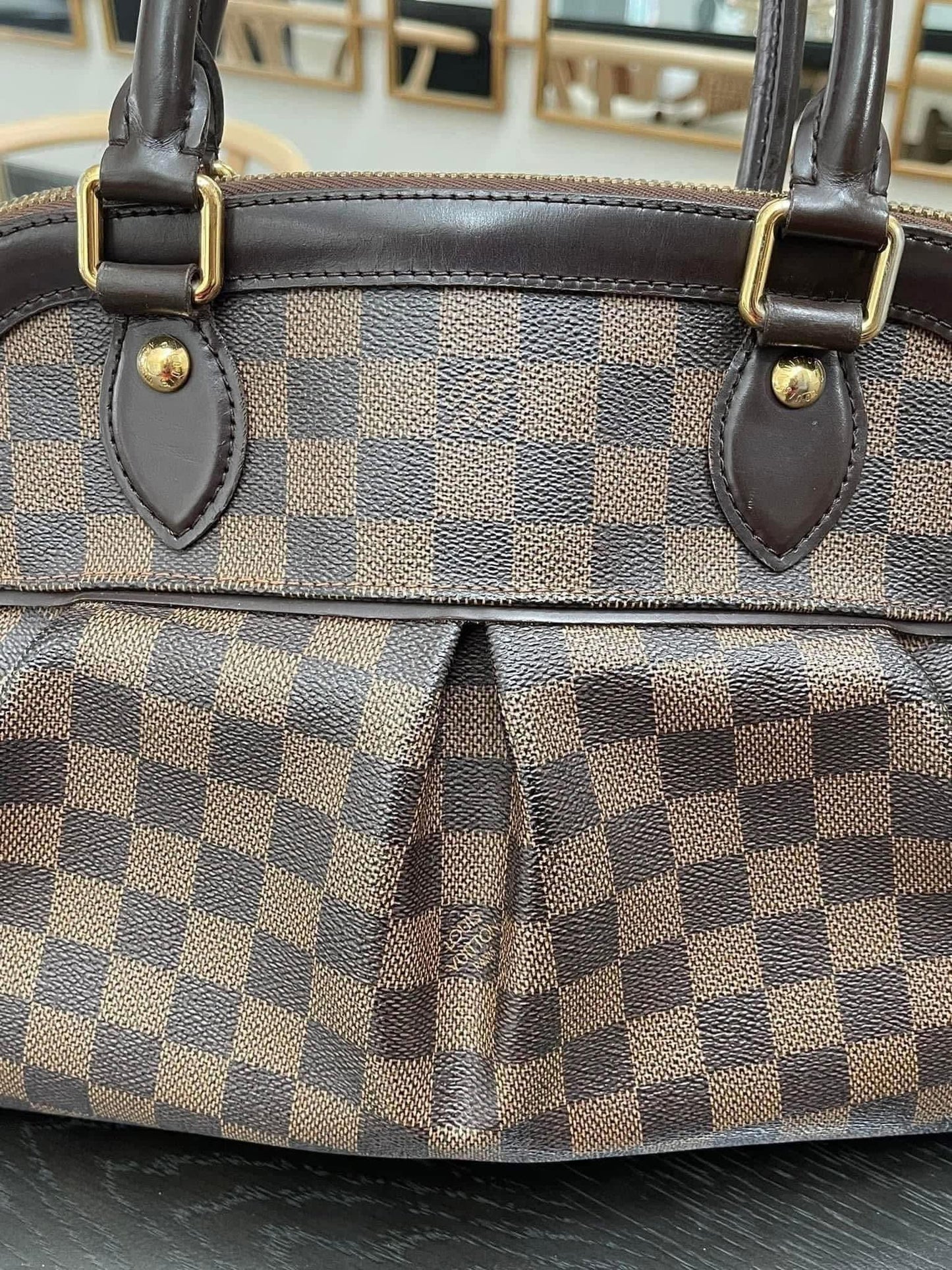 Trevi PM with Dustbag & Receipt - 📅 Year: 2008