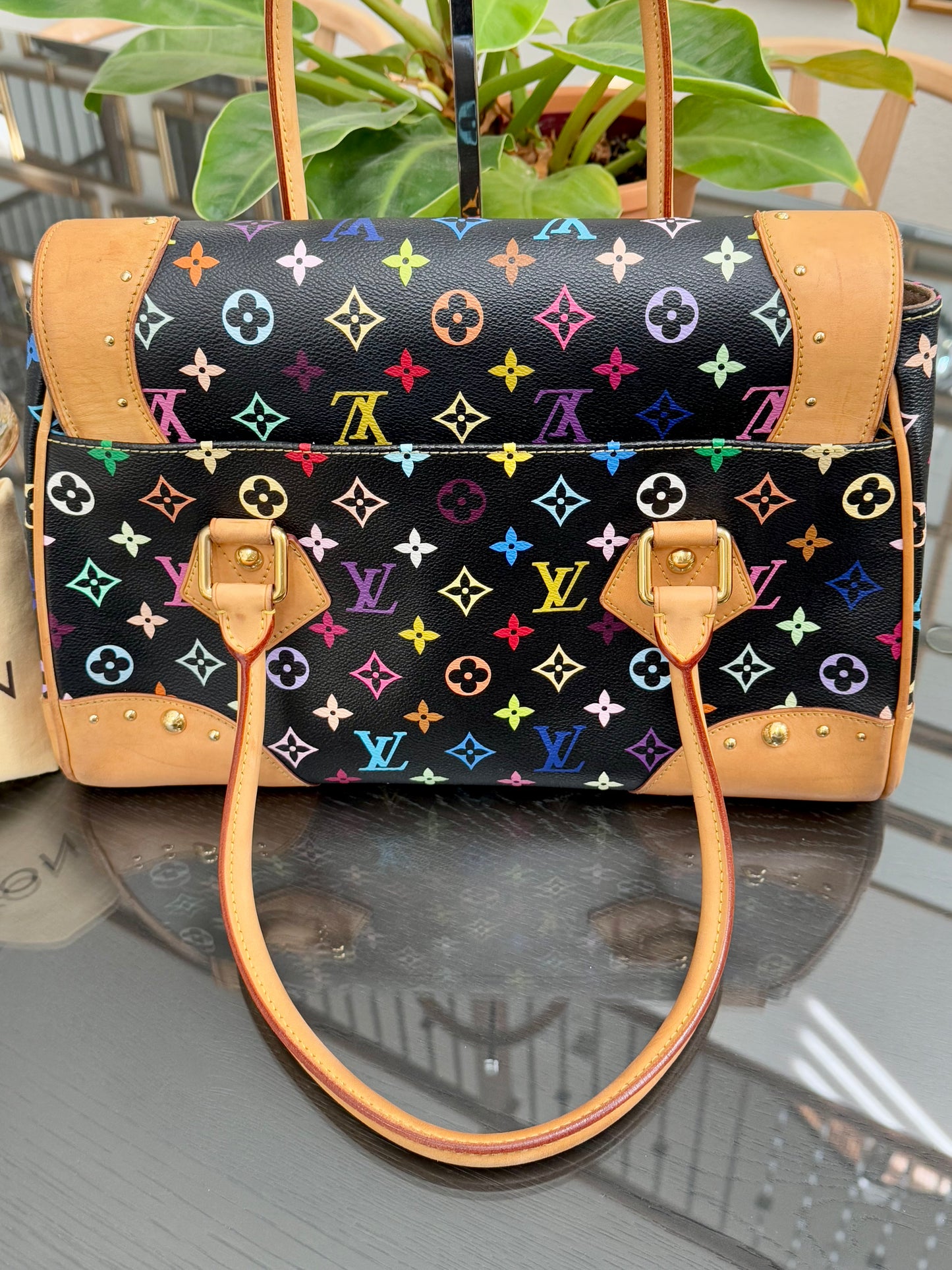 Multicolor Beverly GM with Dustbag 📅 Year: 2000